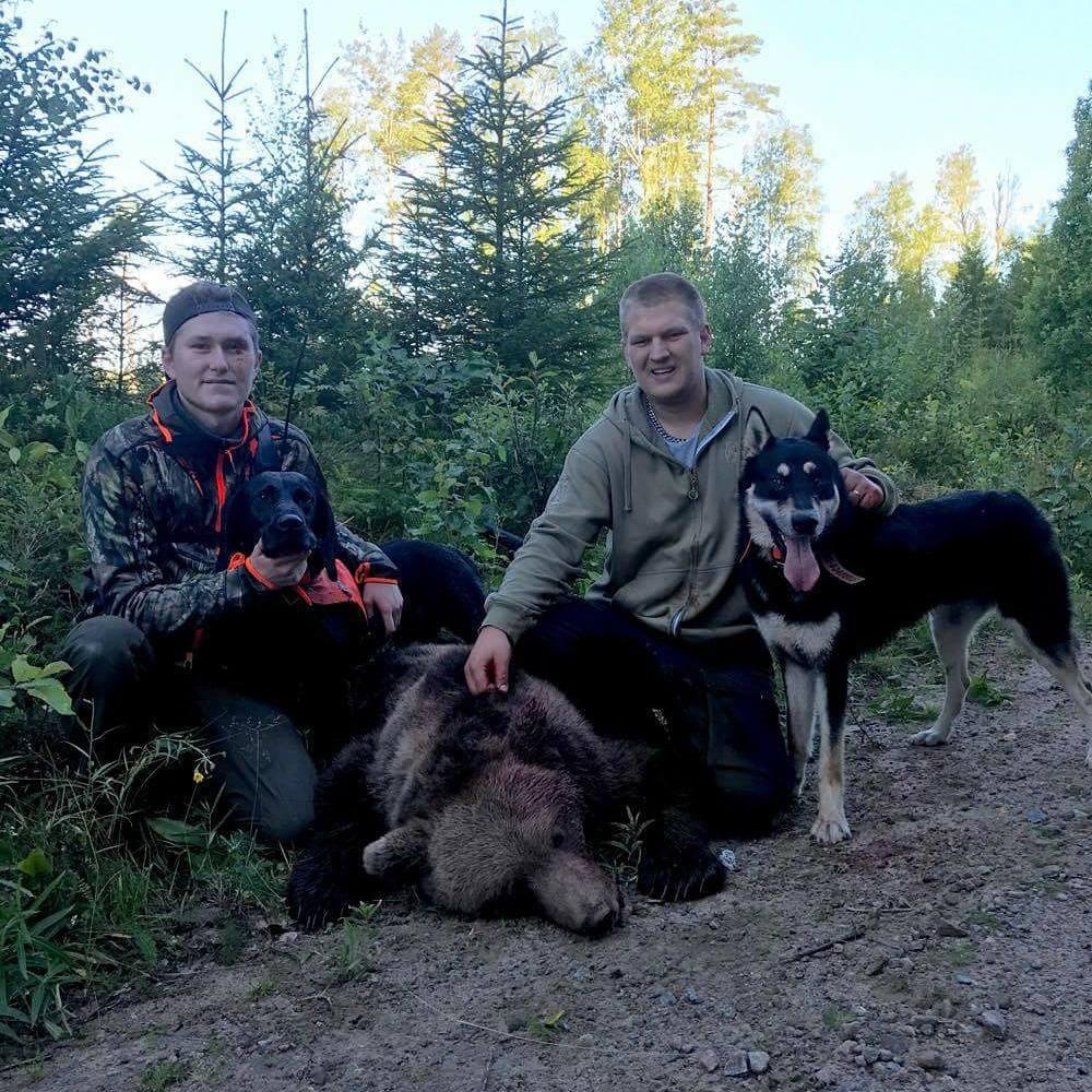 Axel, 18, och Erik, 26, lyckades skjuta den 97 kilo tunga björnhanen.