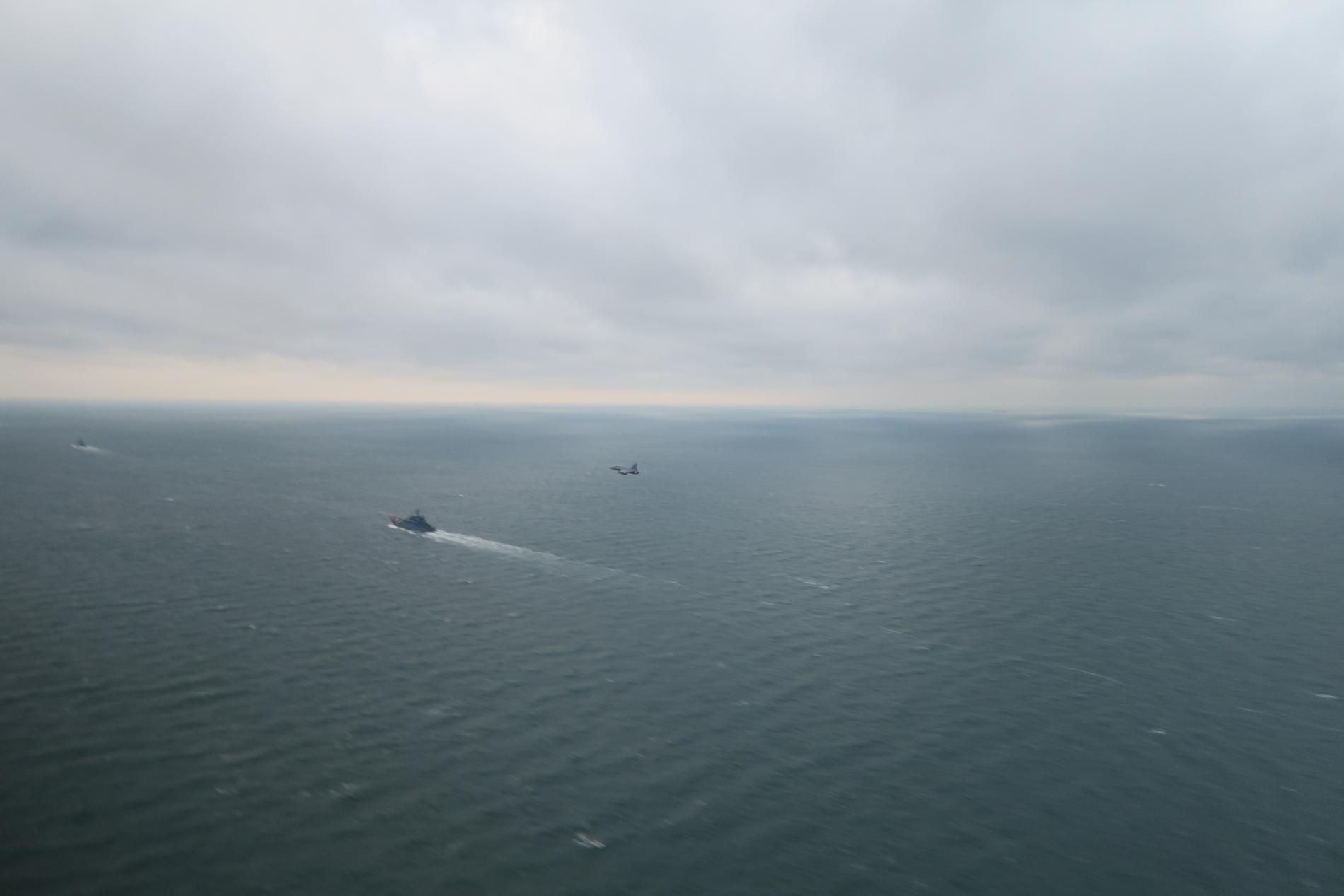 På bilden, tagen från ett svenskt JAS 39 Gripen i går tisdag, syns två ryska landstigningsfartyg av Roputja-klass i Skagen.