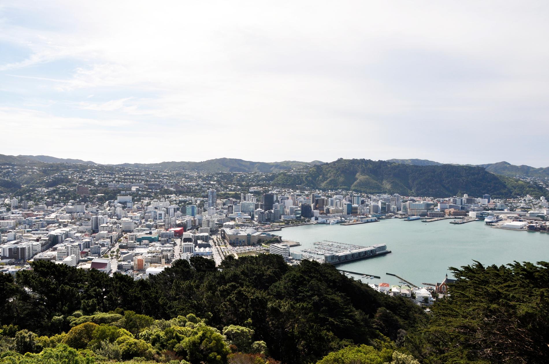 Ledare för Maori-partiet varnar för att öppna Nya Zeeland för tidigt. Bild över Wellington.