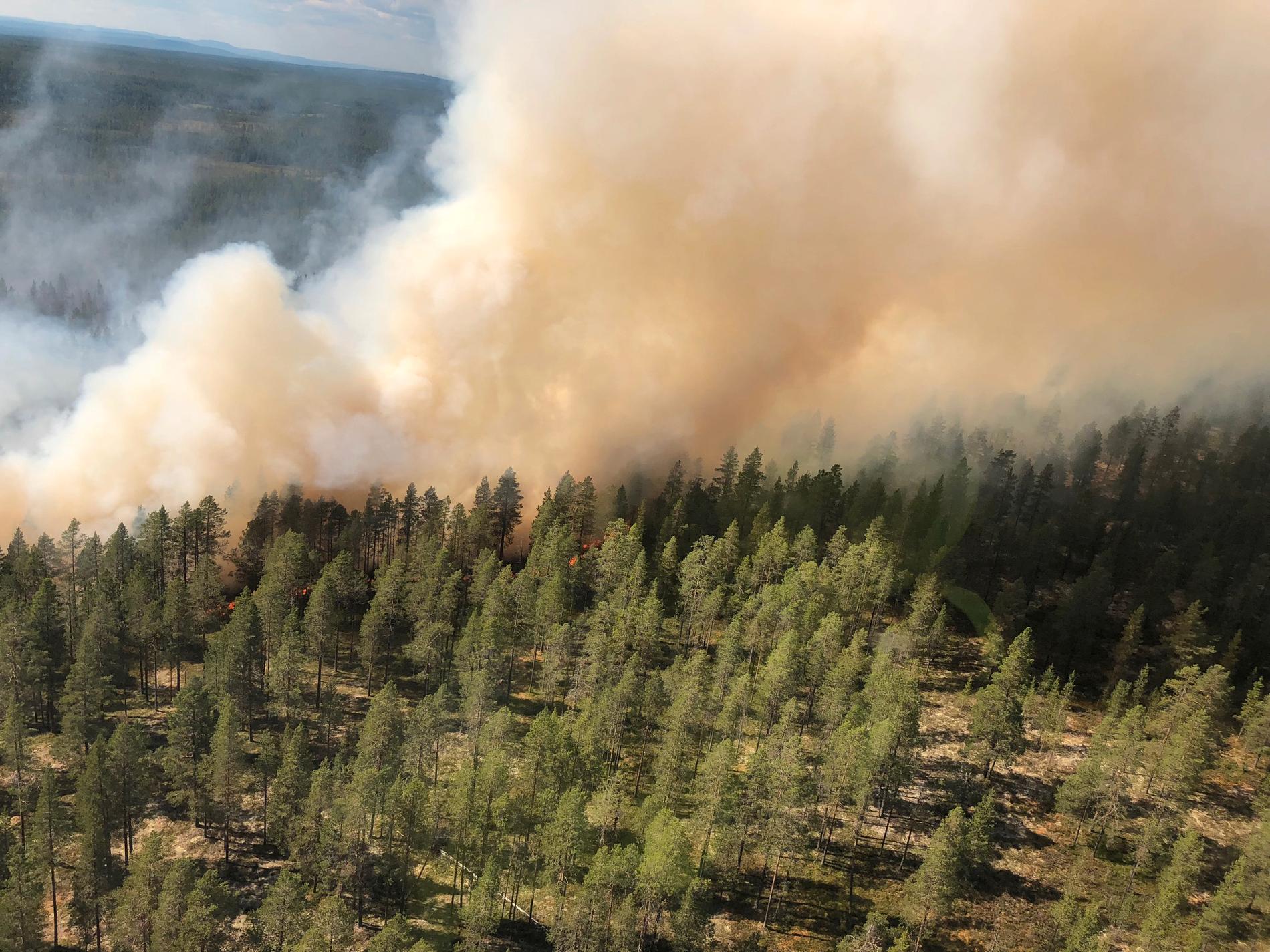 Arkivbild från brandfronten vid Älvdalens skjutfält. 