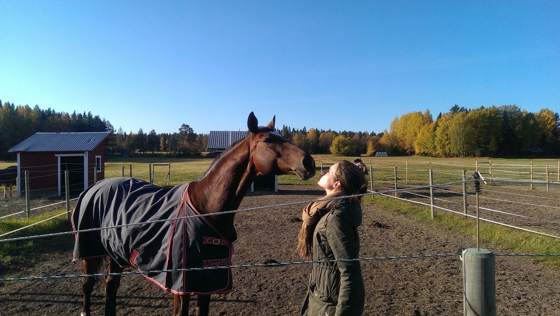 Efter sin stroke köpte Therese en häst, men sålde den när hon blev gravid för andra gången. Hon hoppas på att ägna sig åt sin stora passion igen i framtiden.
