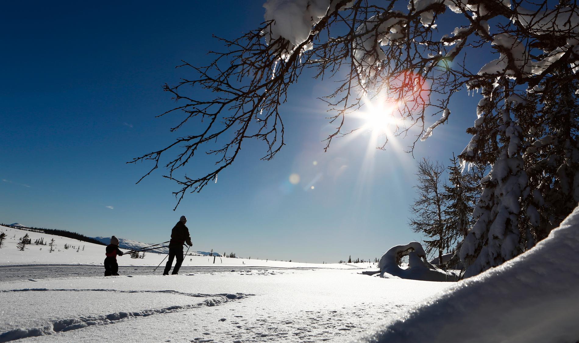 Snön dröjer ett tag till på de flesta håll – men vintern är redan här, åtminstone i stora delar av Sverige. Arkivbild.