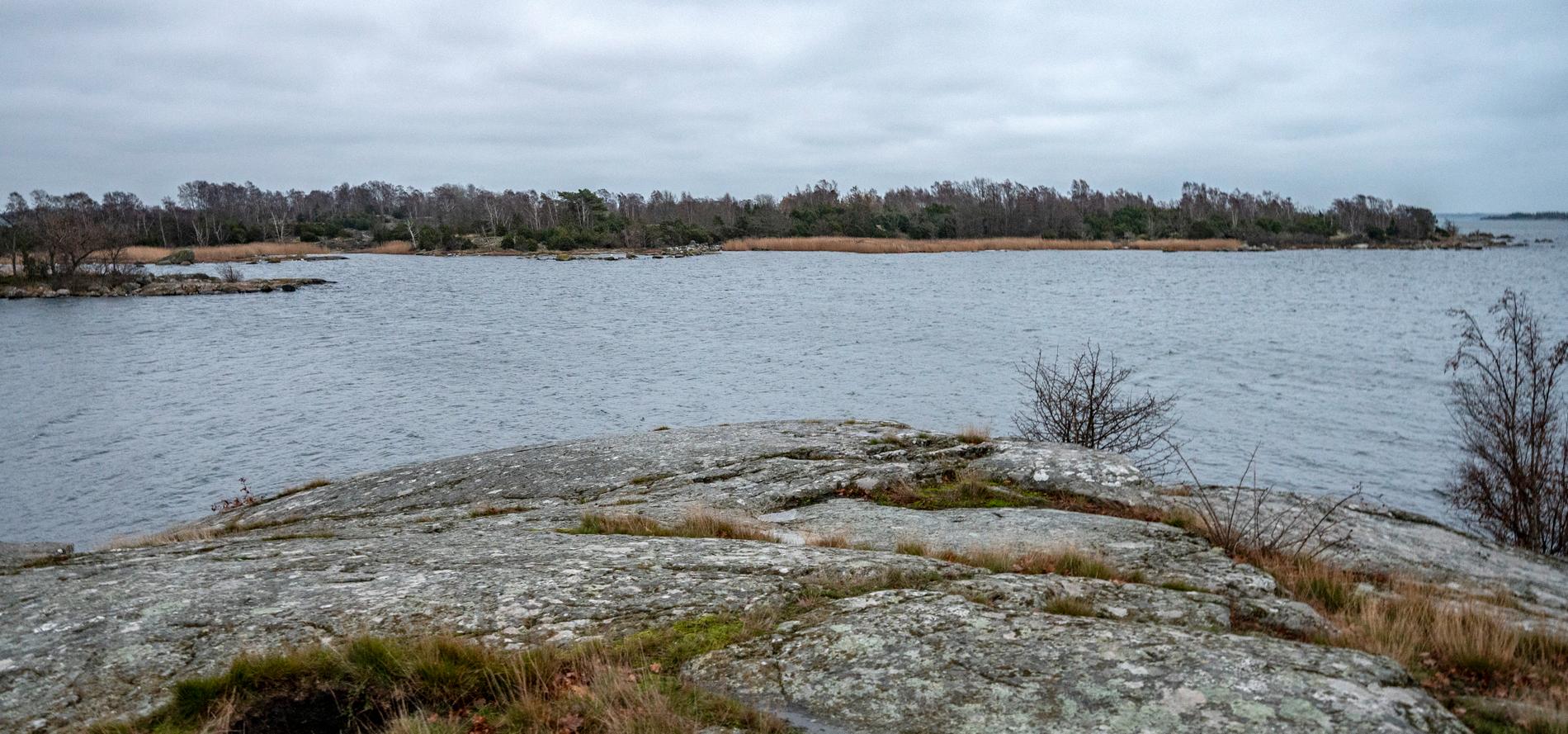Ålbeståndet i Sverige är svagt, och för att få fiska måste man ha särskilt tillstånd. Det hade inte PM Nilsson när han drog upp ål i Karlskrona skärgård.