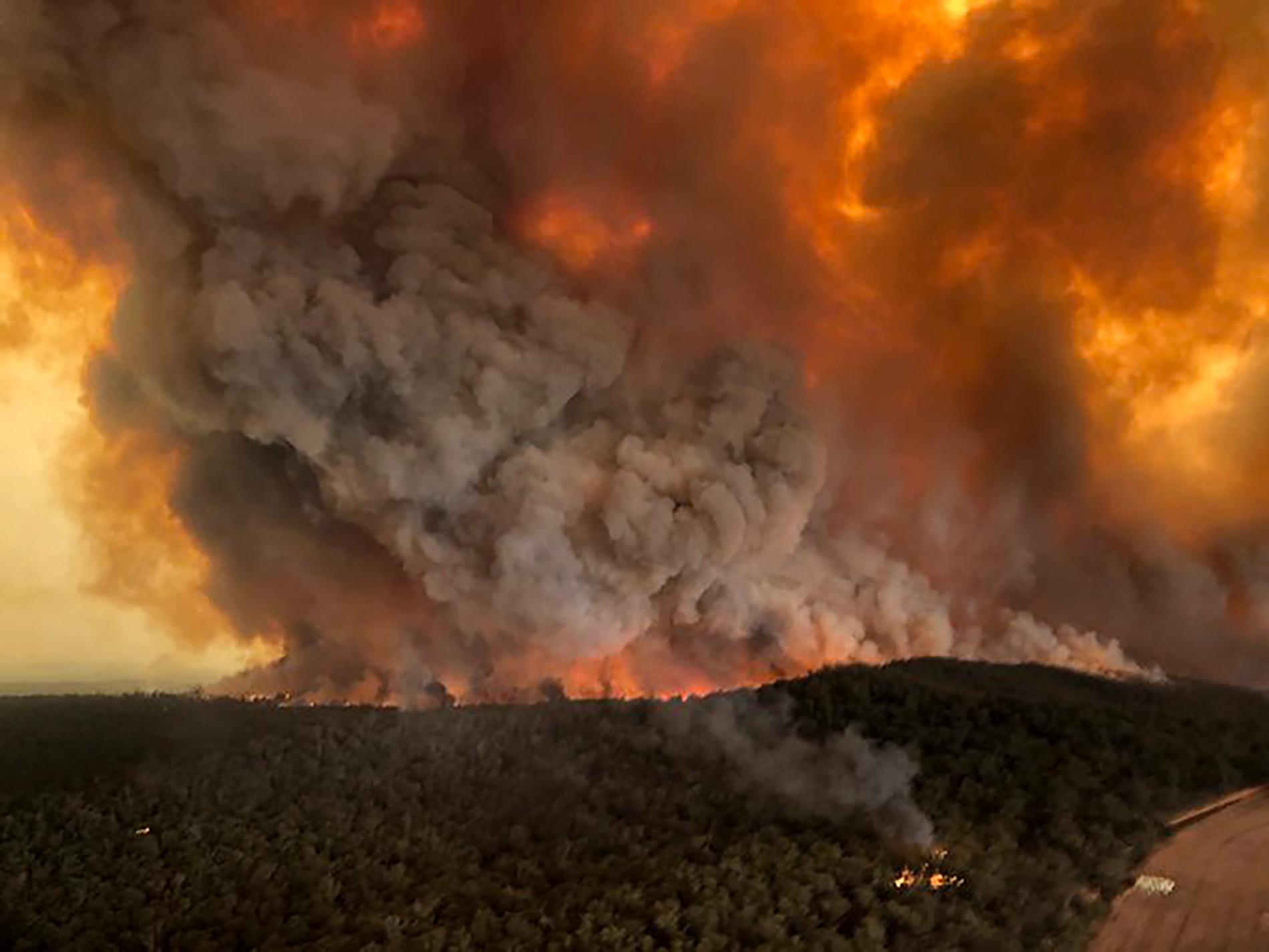 Fem miljoner hektar mark har brunnit sedan bränderna startade i slutet av september.