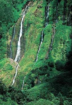 På Flores kastar sig vattenfall 100 meter utför de grönskande stupen.