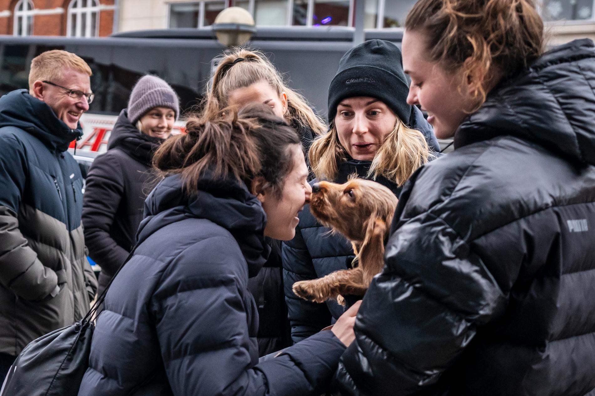 Linn Blohm träffar på  danska spelaren Kristina Jörgensens hund utanför spelarhotellet.