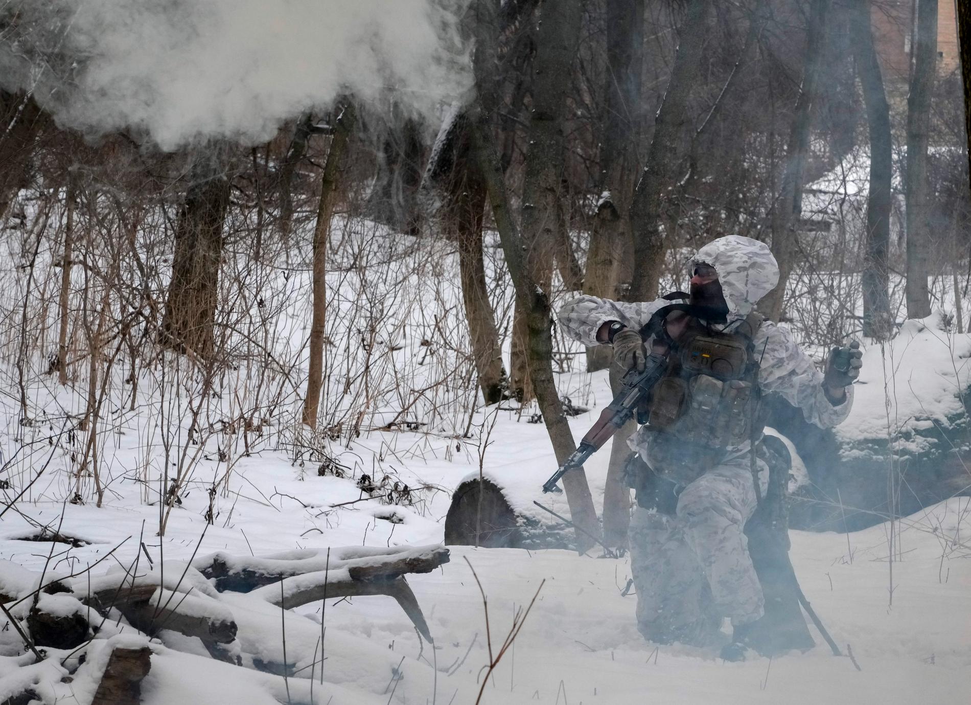 Ukrainas gränsförsvar kastar en handgranat under en militärövning i Kiev, Ukraina.