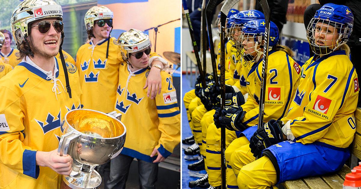2013 fick spelarna i Tre Kronor 3,1 miljoner kronor att dela på i guldbonus.