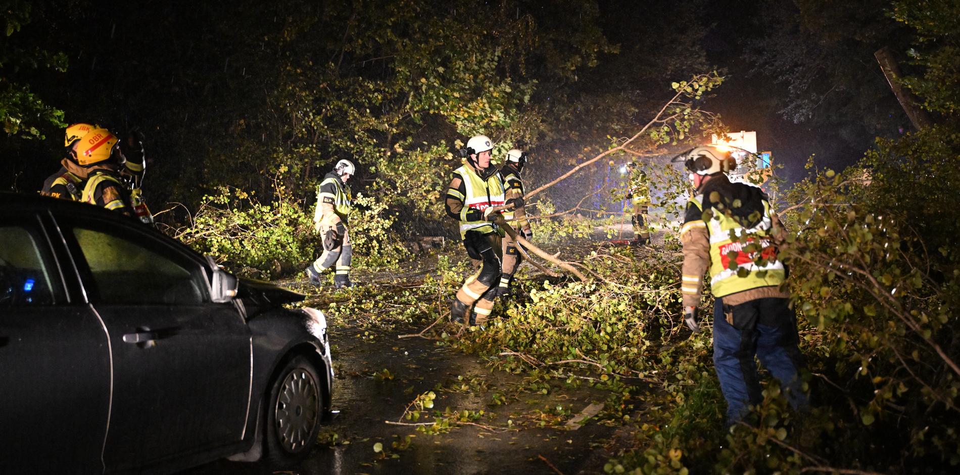 Räddningstjänsten röjer upp efter att ett träd fallit över vägen utanför Lund.