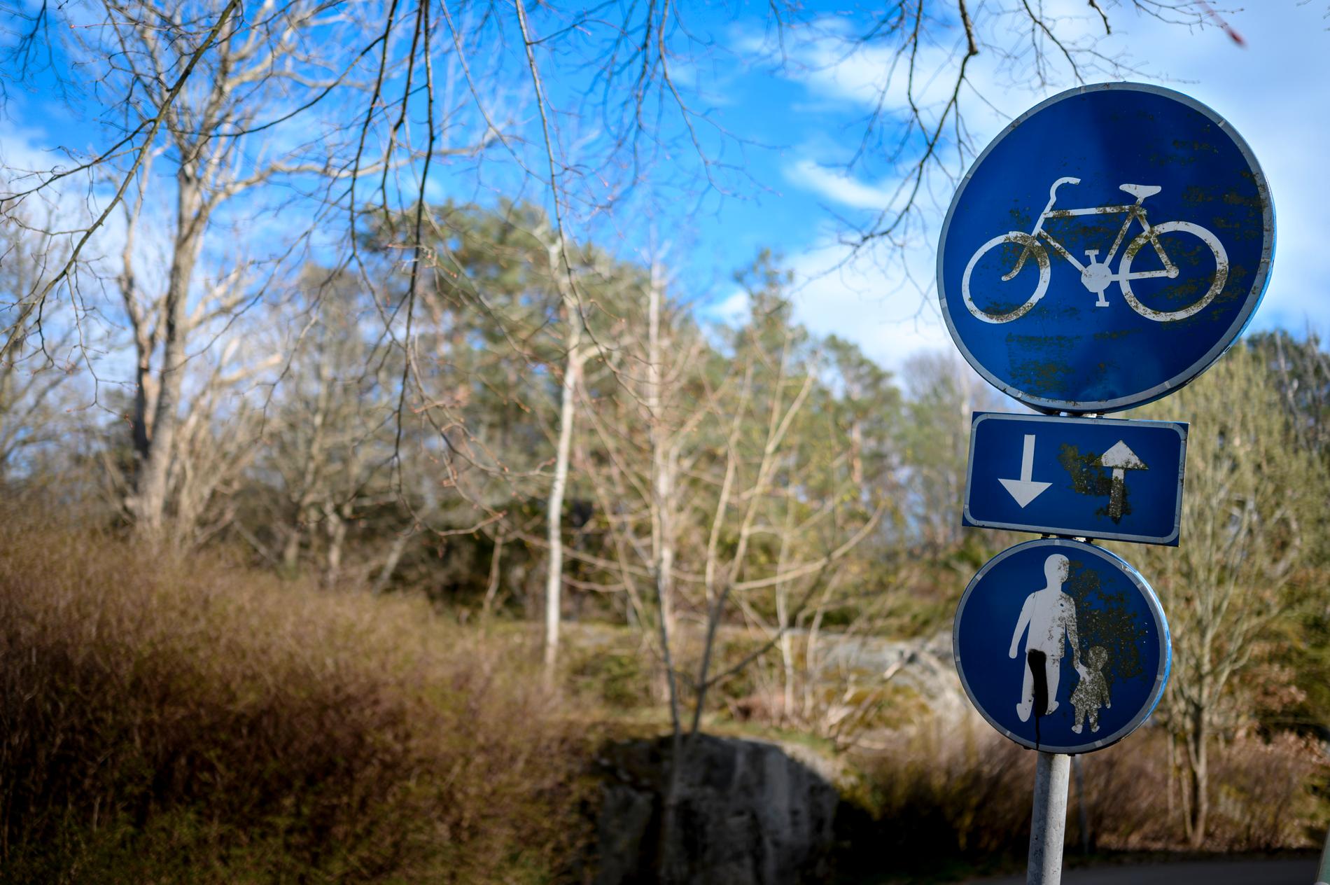 Cykelvägen där en åttaårig flicka blev misshandlad och våldtagen i södra Göteborg 1995. Bilden är tagen tidigare i år.