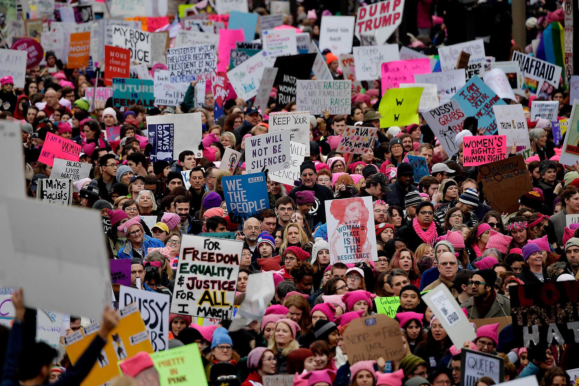 Den stora kvinnodemonstrationen i Washington blev den största protesten i USA:s historia. I Sverige och runt om i världen hölls systerdemonstrationer. Plötsligt fanns en global rörelse ledd av kvinnor mot den auktoritära populismen