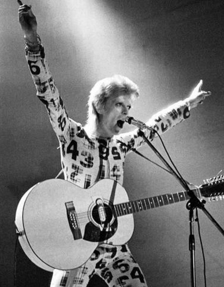 Bowie var en stilikon.