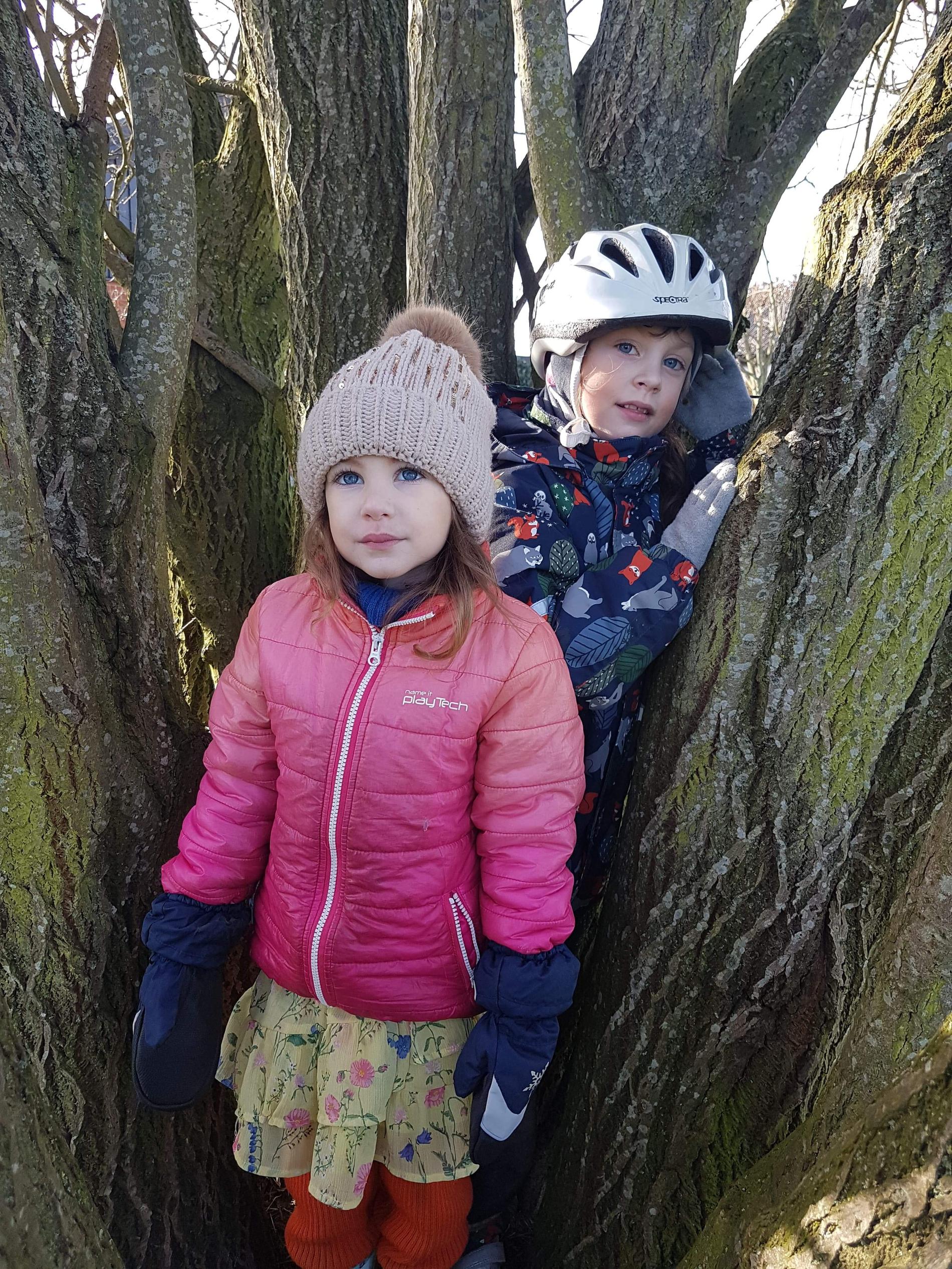 Familjen försöker alltid få med barnen ut. Här är Lily, 6, och Lovis, 3, som klättrar i träd.