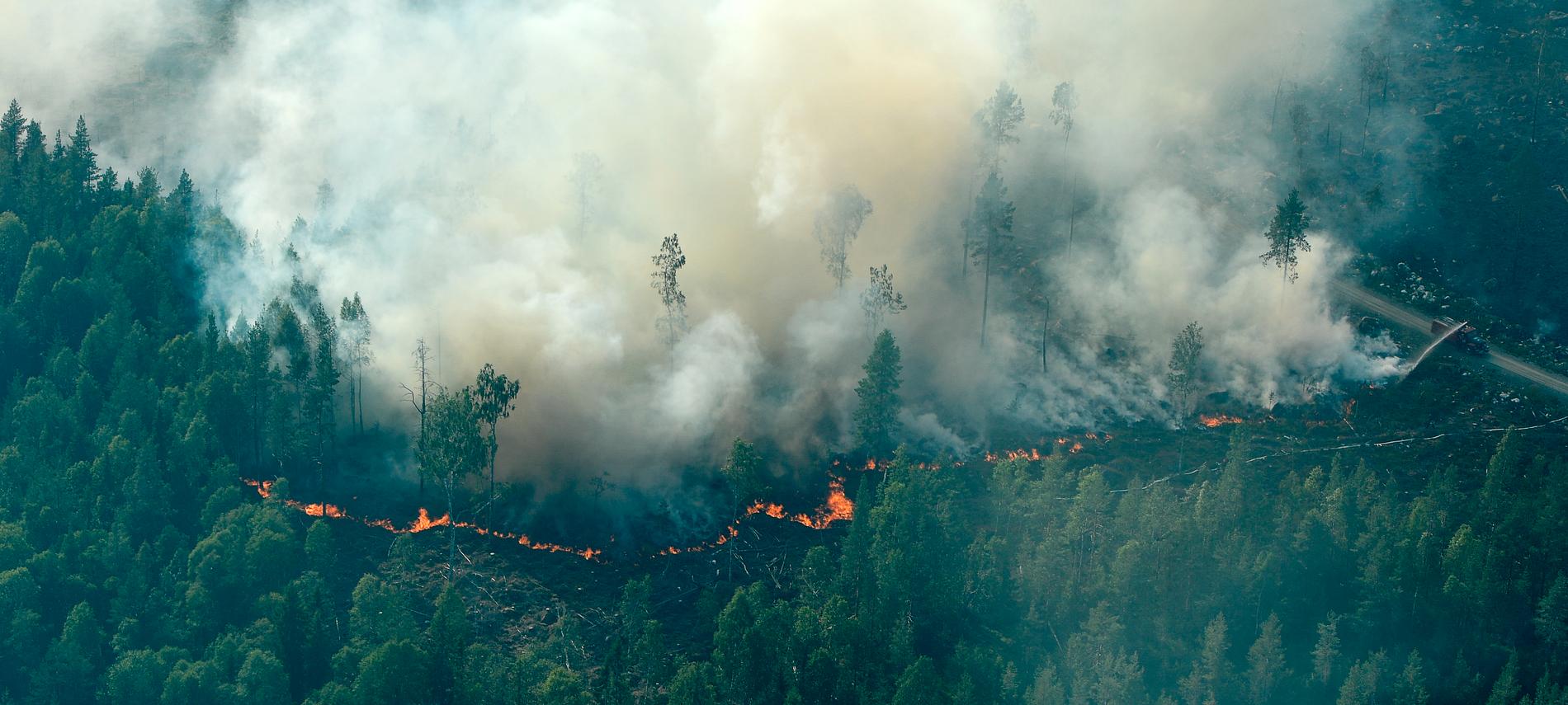 Skogsbränderna i sommar väcker minnen från 2014.
