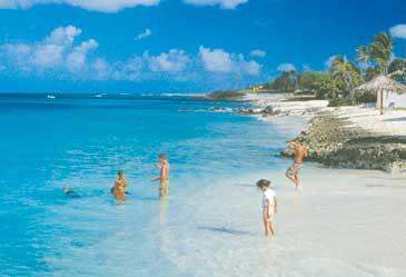 Aruba är perfekt för den som gillar vattenaktiviteter eller att bara slappa på stranden, till exempel på Palm Beach på nordvästra delen av ön.