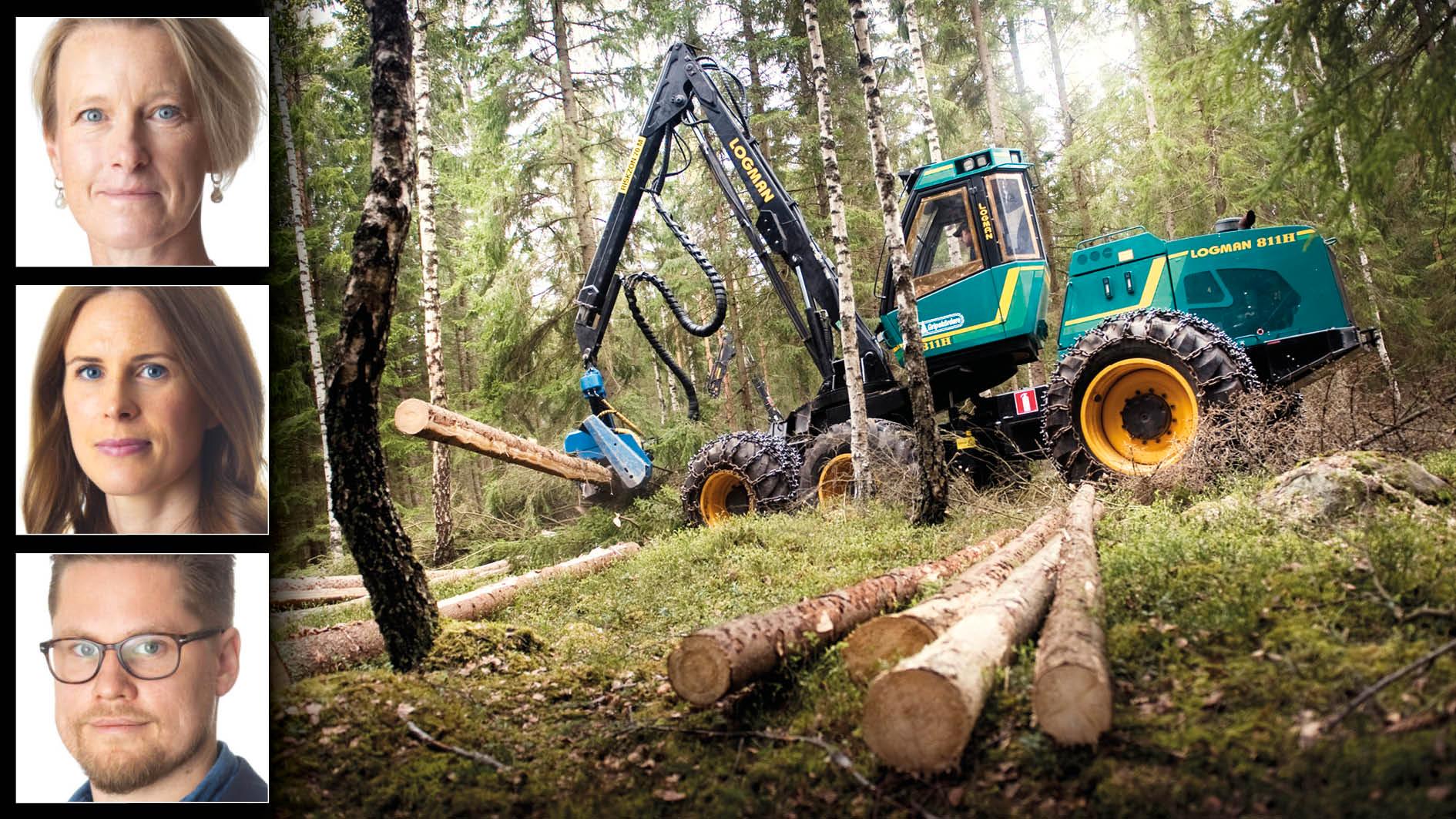 I debatten lyfts ofta att Sverige måste minska avverkningen av skog för att nå det kortsiktiga målet. Skogsindustrierna menar att det är en björntjänst för klimatet och samhället i stort, skriver Viveka Beckeman, Emma Berglund och Mårten O Larsson.