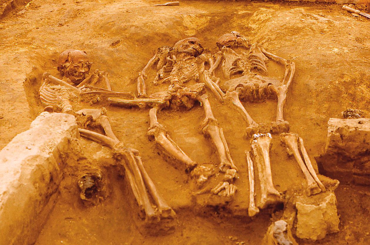 DNA-analyser pekar mot att grottmannen från spanska La Braña som levde för 7000 år sedan hade en mix av afrikanska och europeiska gener. Ovan: Bror, syster och fästman? De tre ungdomarna i Dolní Vestonices trippelgrav dog för ungefär 31 000 år sedan.