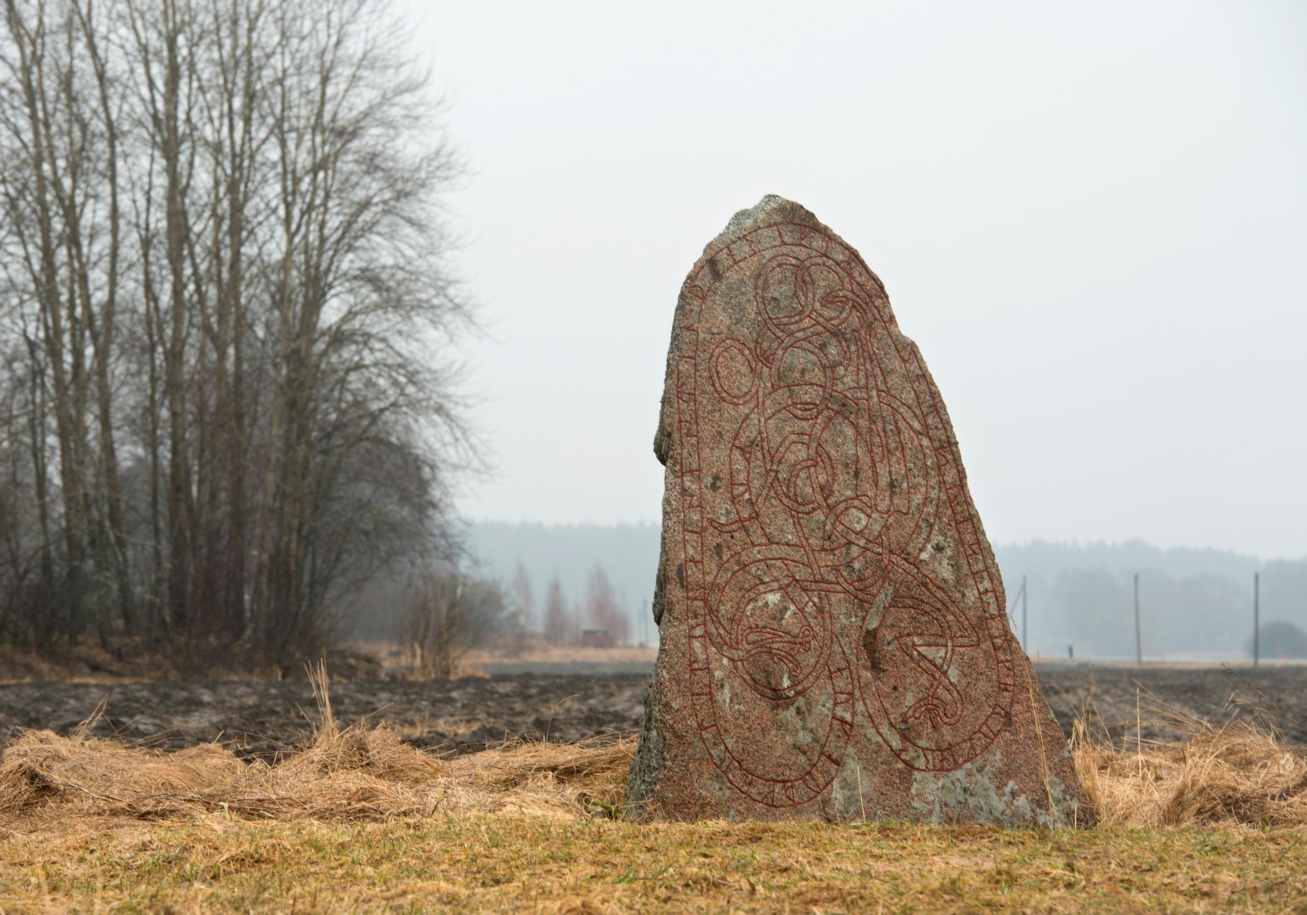 Uppländsk runsten vid Ryda kungsgård, Nysätra socken. En runsten från 1000 e.Kr. Inskriptionen lyder "Amunde och Ödgärd läto resa denna sten efter Anund, sin son, och göra bro".