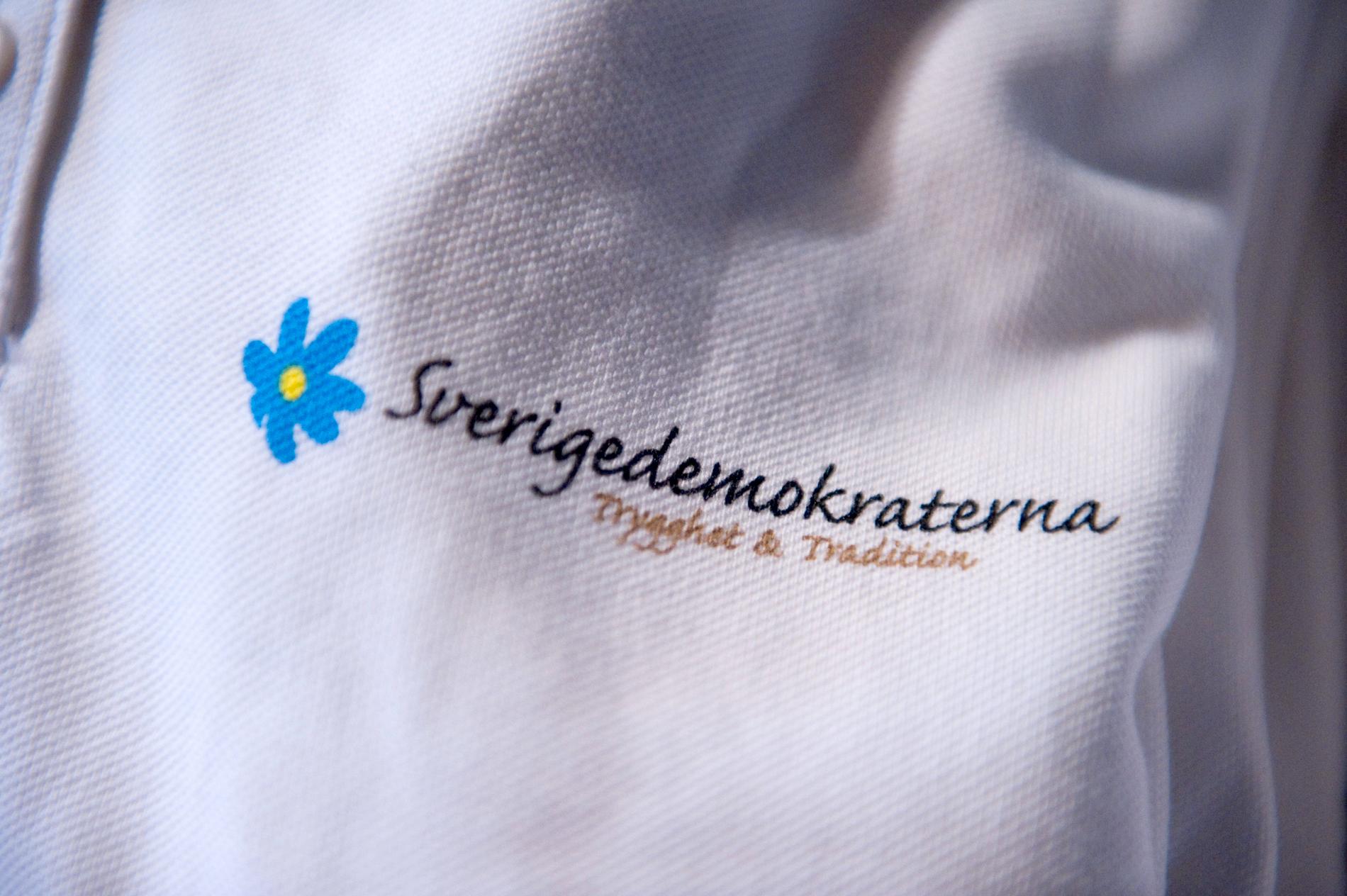 Sverigedemokraterna utesluter en kommunpolitiker i Sörmland. Arkivbild.