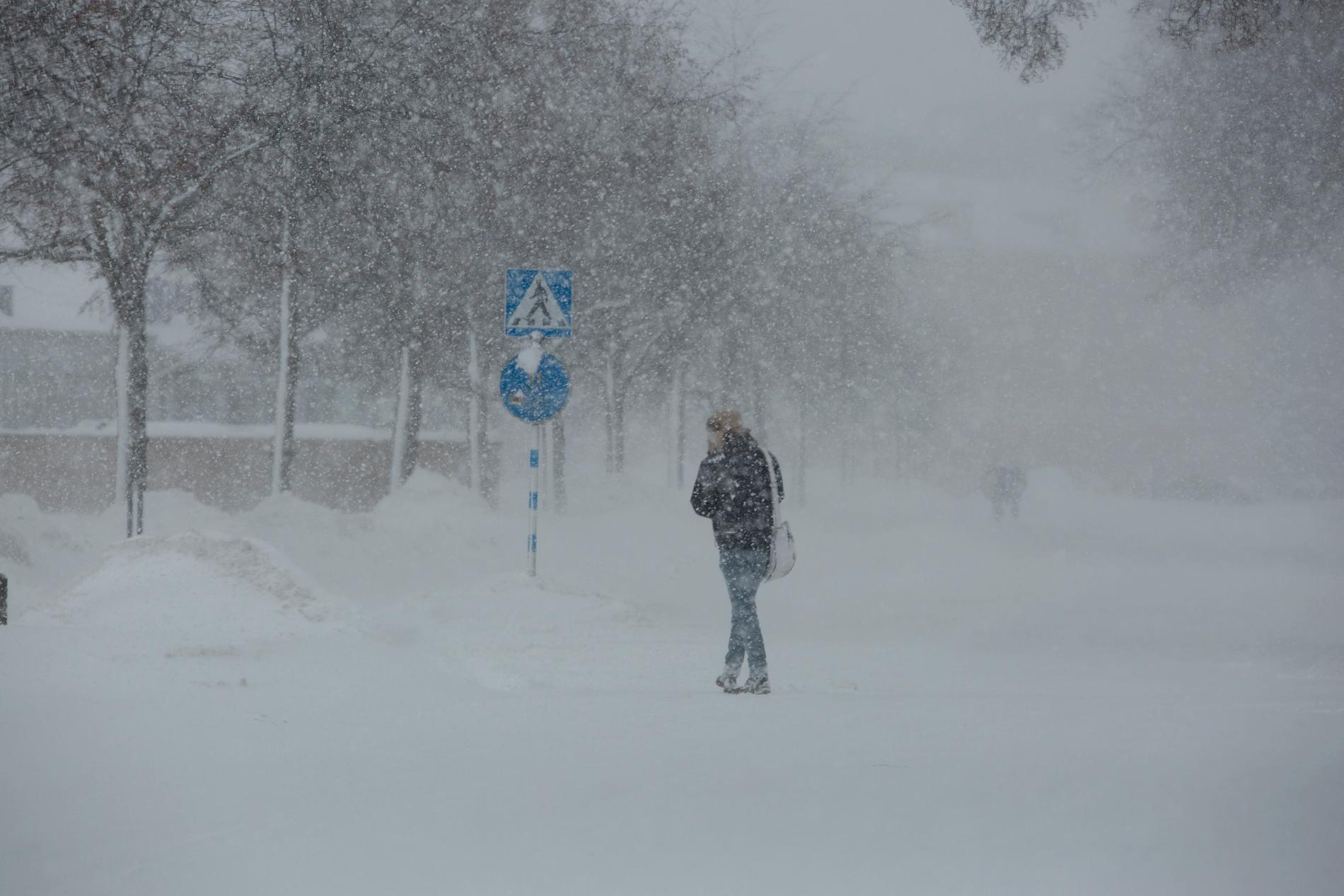 Vintern i Sverige väntas bli kallare än normalt.