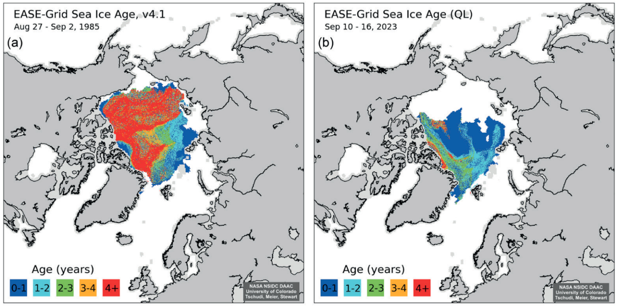 De röda fälten visar is äldre än fyra år i Arktis 1985 och 2022. 