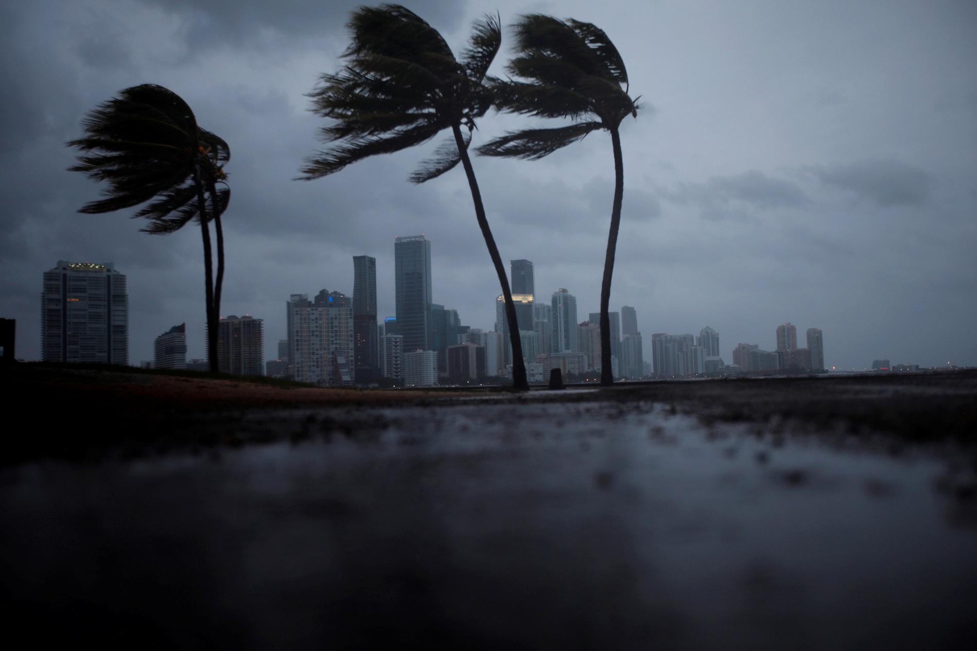 Miami väntar in Irma.