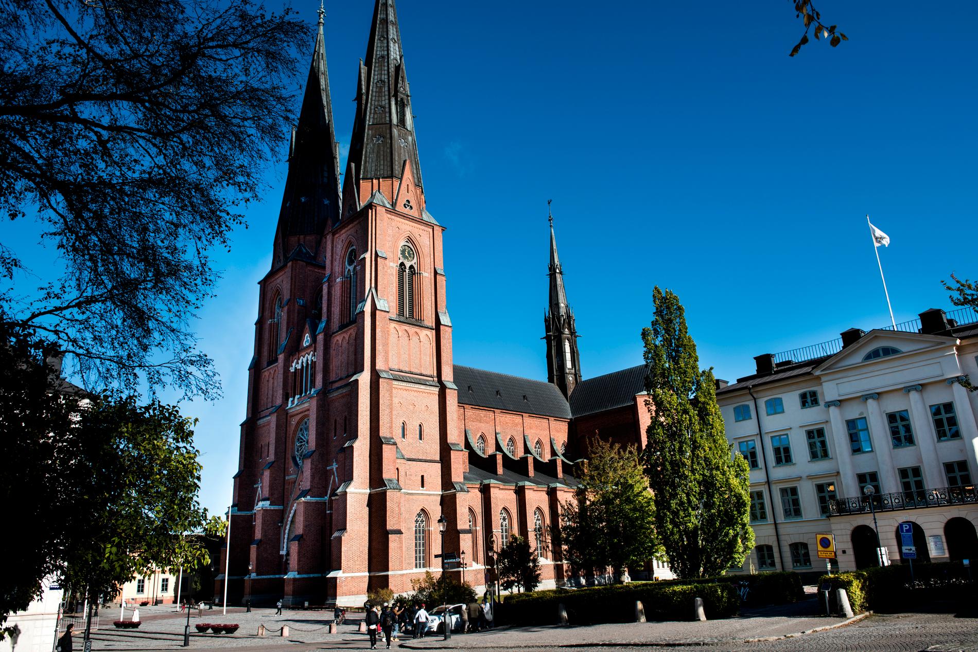 En person har anmält Svenska kyrkan för hets mot folkgrupp på grund av en stenskulptur i Uppsala domkyrka. 
