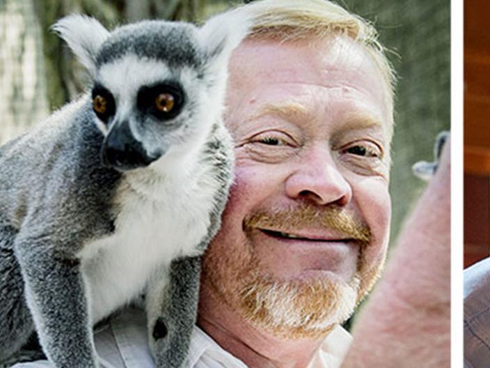 Skansen-Jonas bakslag: Får inte ha kvar lemurerna