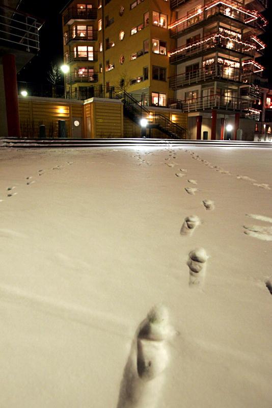 HADE SMÅ FÖTTER Fotspåren i snön efter överfallet på Anna blev ett av bevisen mot Niklas Lindgren. Foto