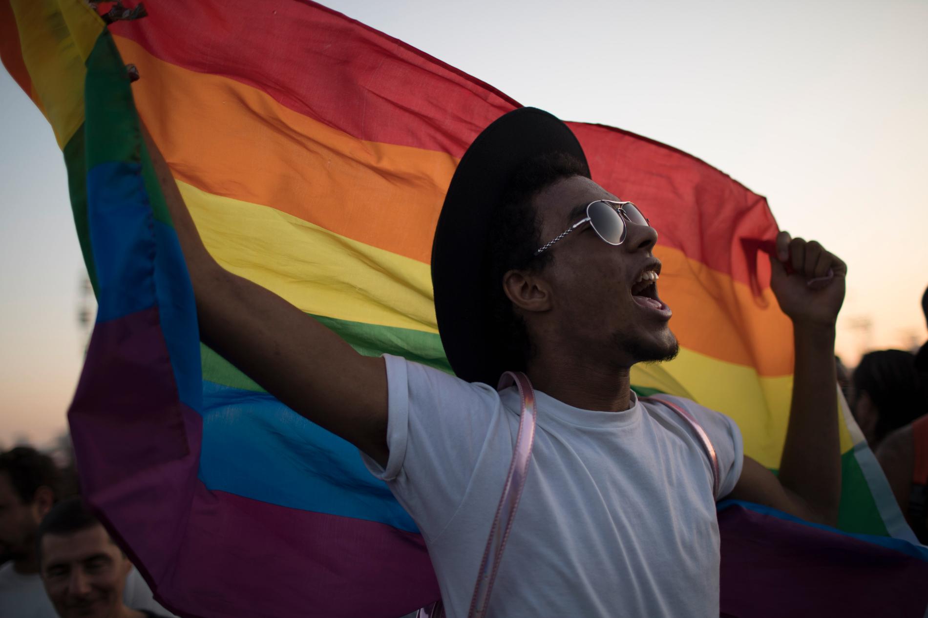 Efter 20 års kamp har högsta domstolen röstat för ett ökat skydd för hbtq-personer. Bilden är tagen på en pridefestival i Rio de Janeiro 2017. Arkivbild.