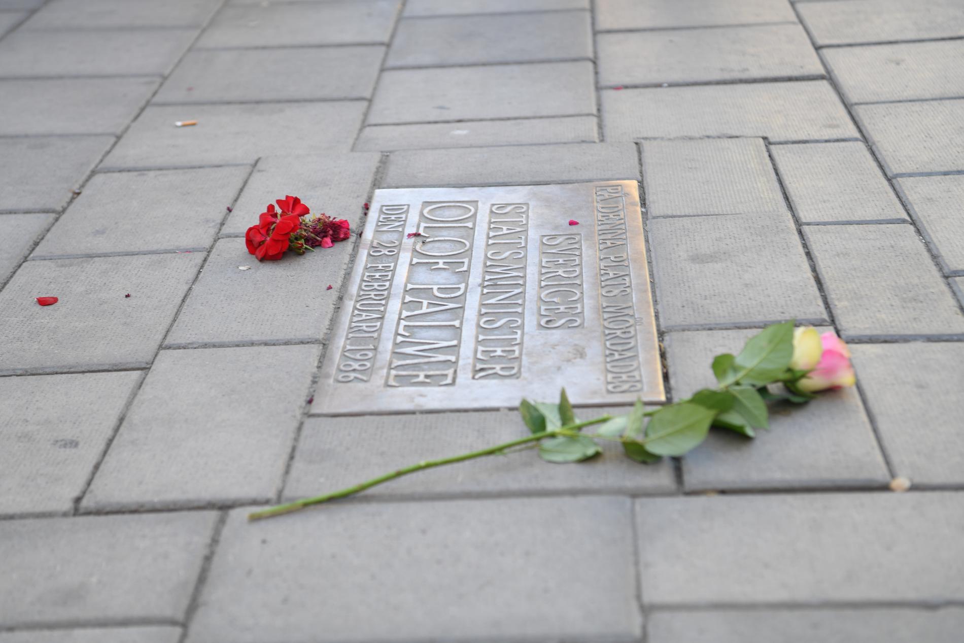 Fortfarande 34 år efter mordet på statsminister Olof Palme lägger människor rosor på mordplatsen. Arkivbild.