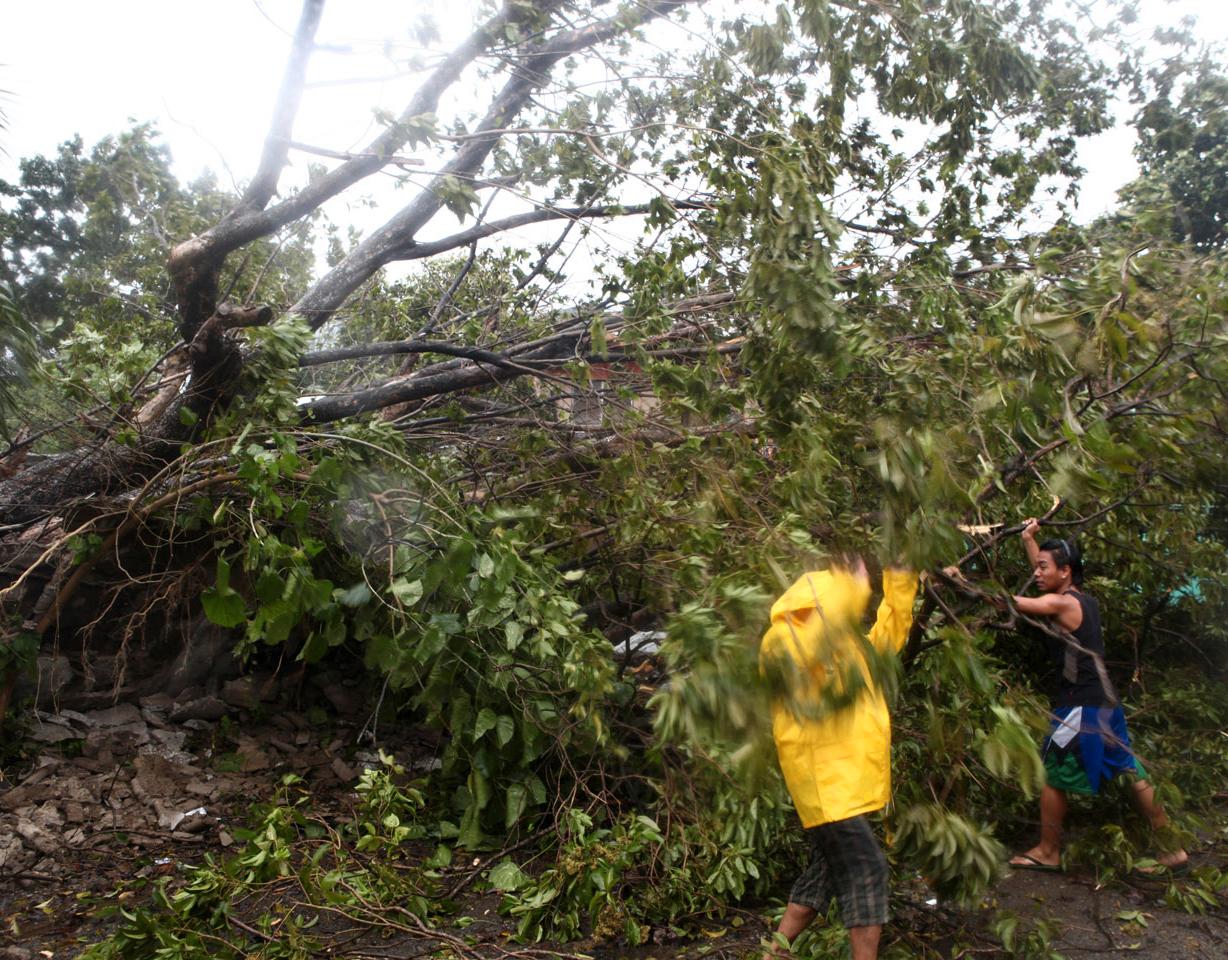 Boende röjer upp efter nedfallna träd i provinsen Cebu.