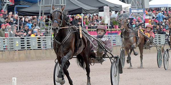 Oscar L.A. spikas på V64 från Halmstad i kväll.