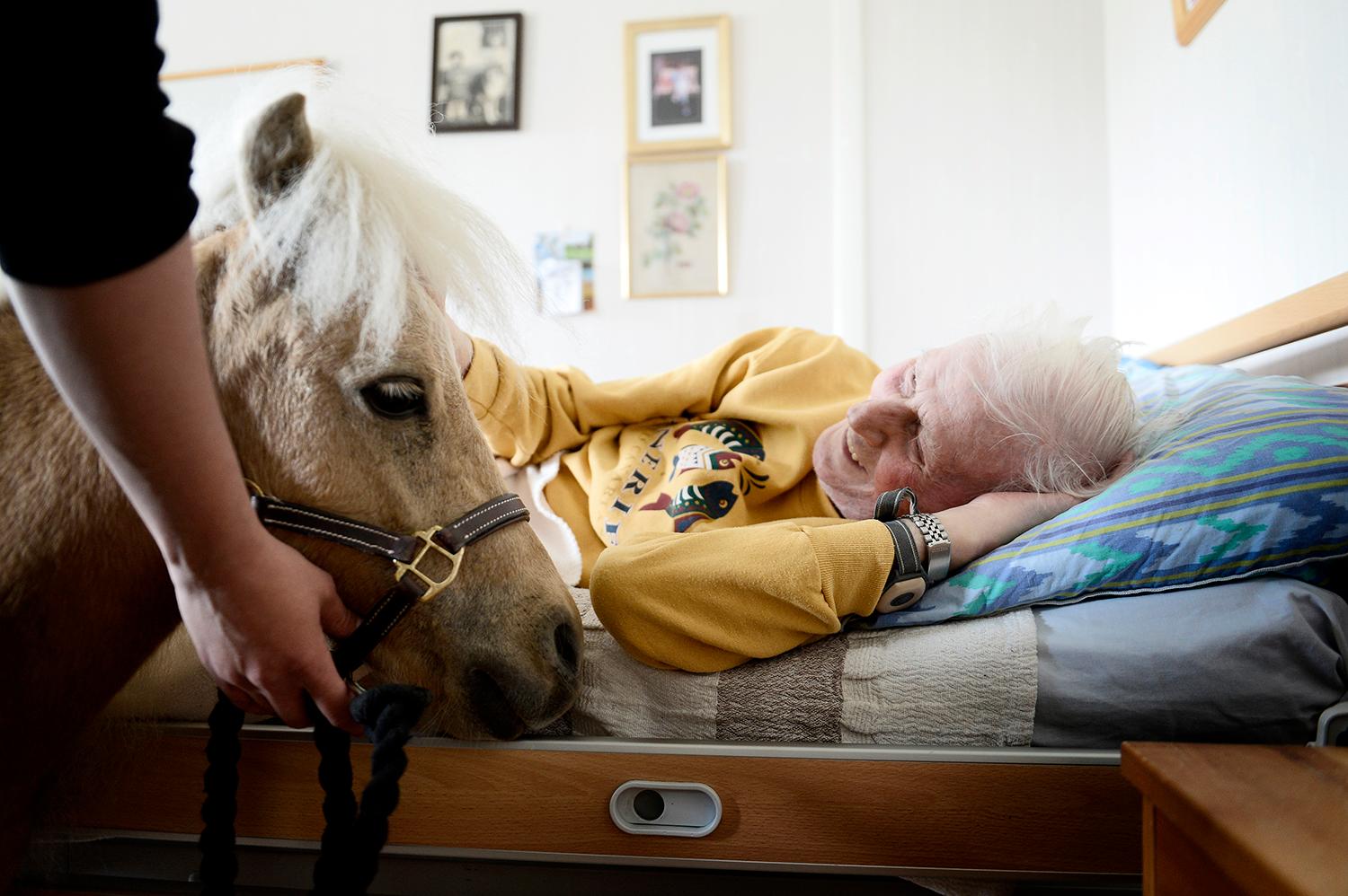 Kurt, 93, blir jätteglad när han får besök av hästarna Asco och Bibbi på rummet.