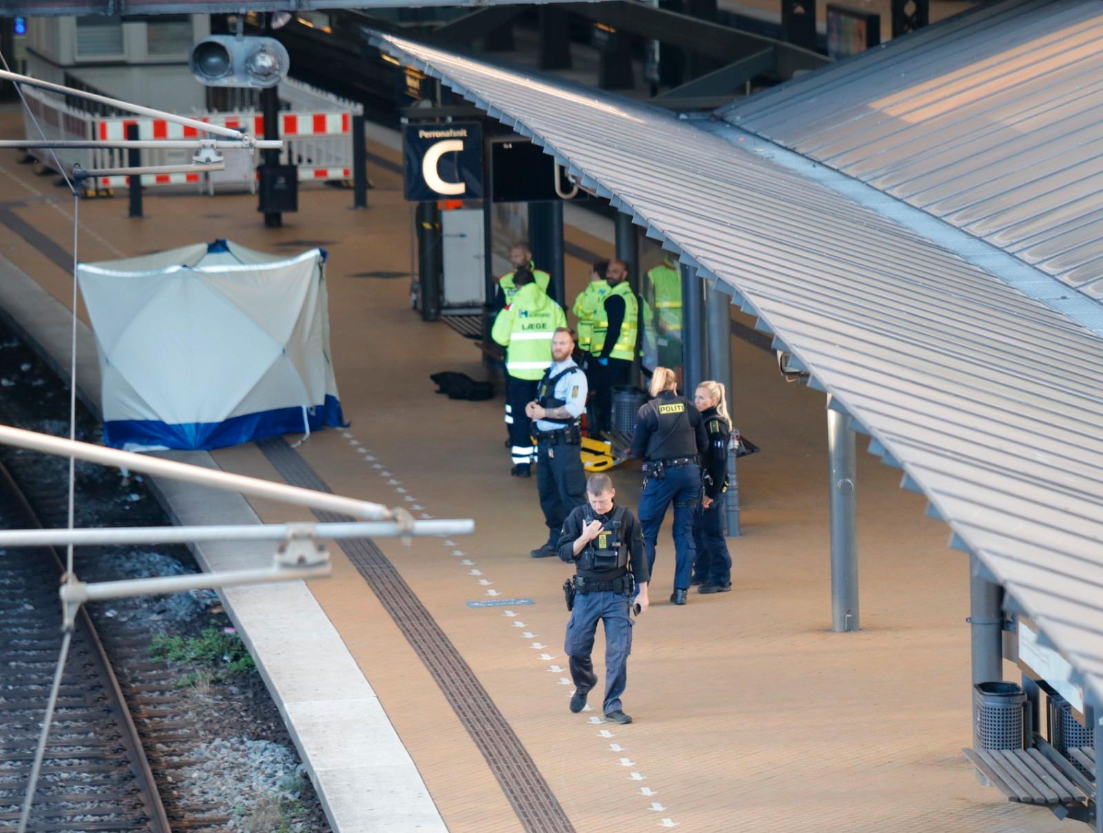 En man har omkommit i en fallolycka på Köpenhamns centralstation.