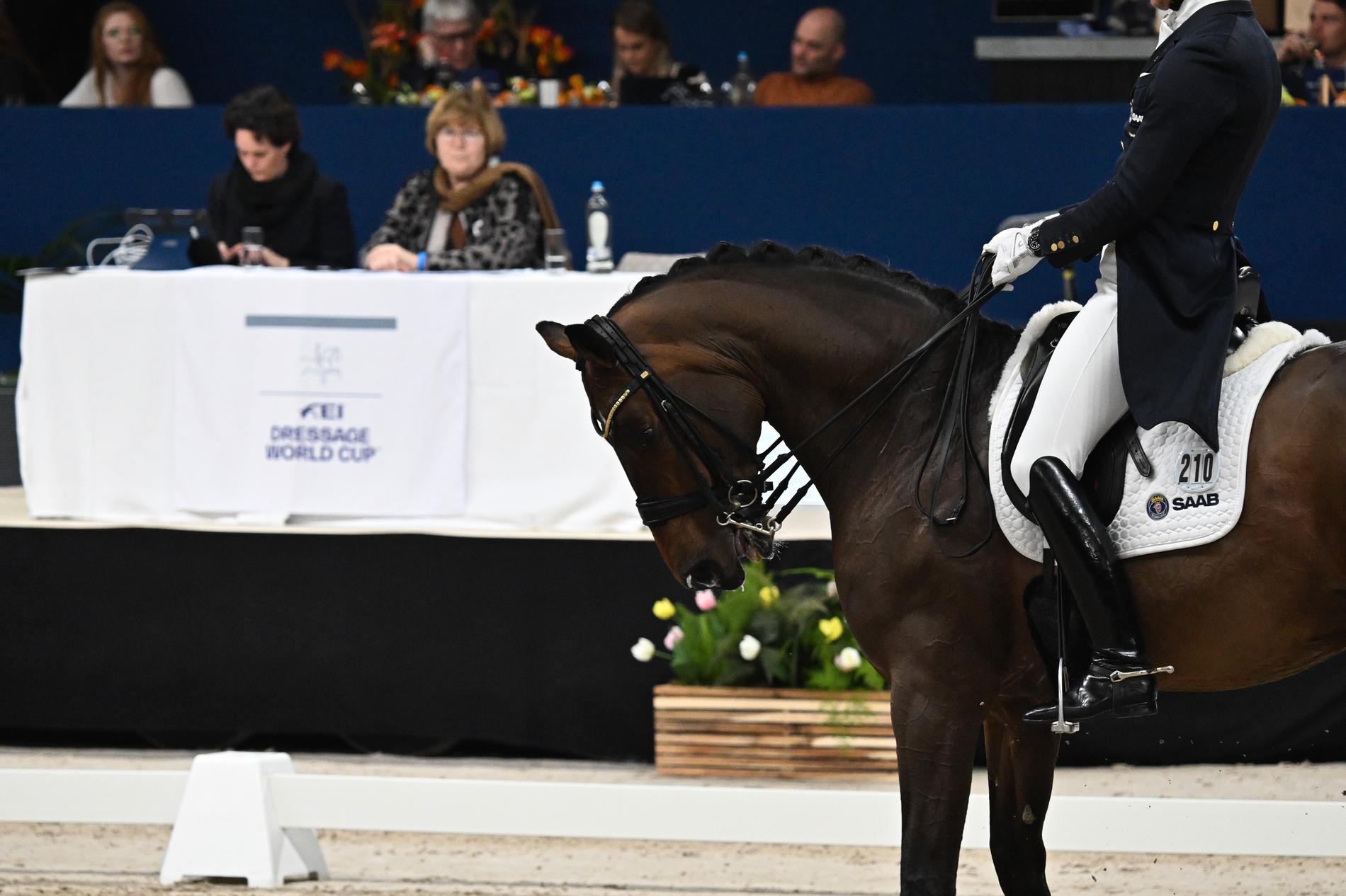  In Amsterdam, Patrik Kittel's horse Touchdown had a blue-colored tongue right in front of the judge.