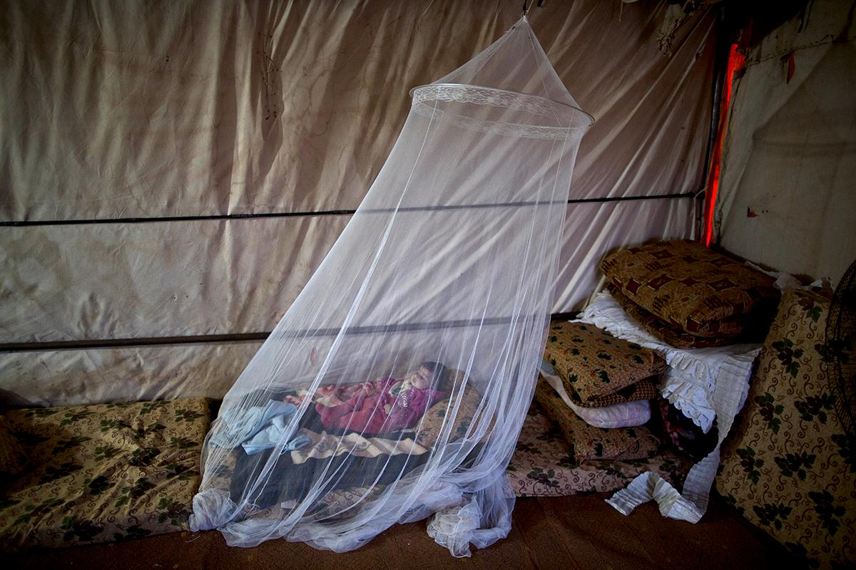 Mafraq, Jordanien: Treåriga Zahra Saad har precis lyckats fly ut ur Syrien med sin familj. Nu bor hon under ett myggnät i ett tält på andra sidan gränsen till Jordanien dit flera syriska flyktingar tagit sig.