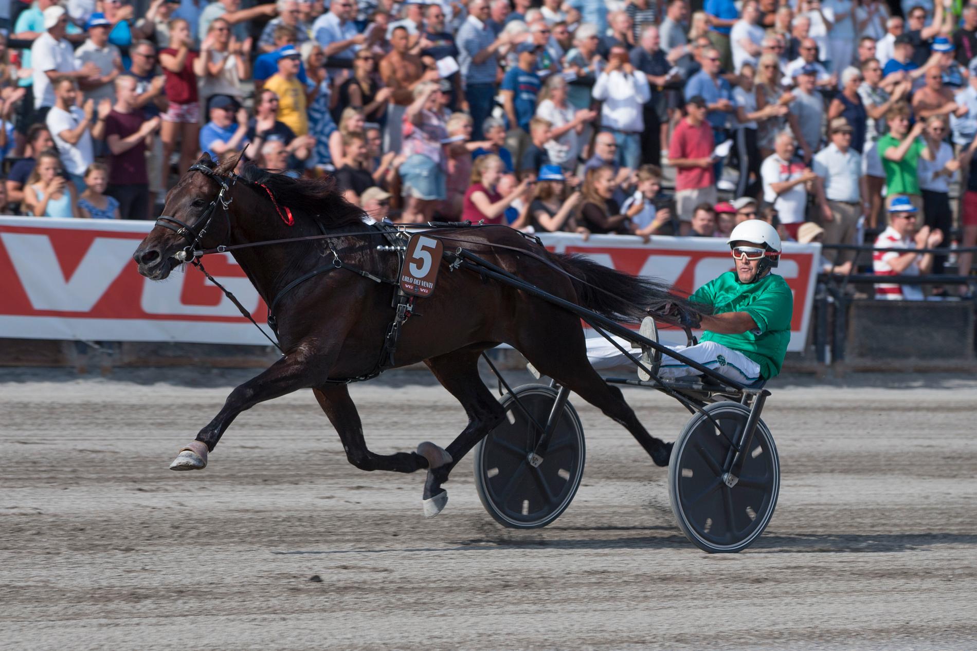 Urlo dei Venti vid segern i Oslo Grand Prix tidigare i år, en seger som kretsen kring hästen senasre blev fråntagen på grund av att hästen tävlade med kortison i kroppen i loppet.