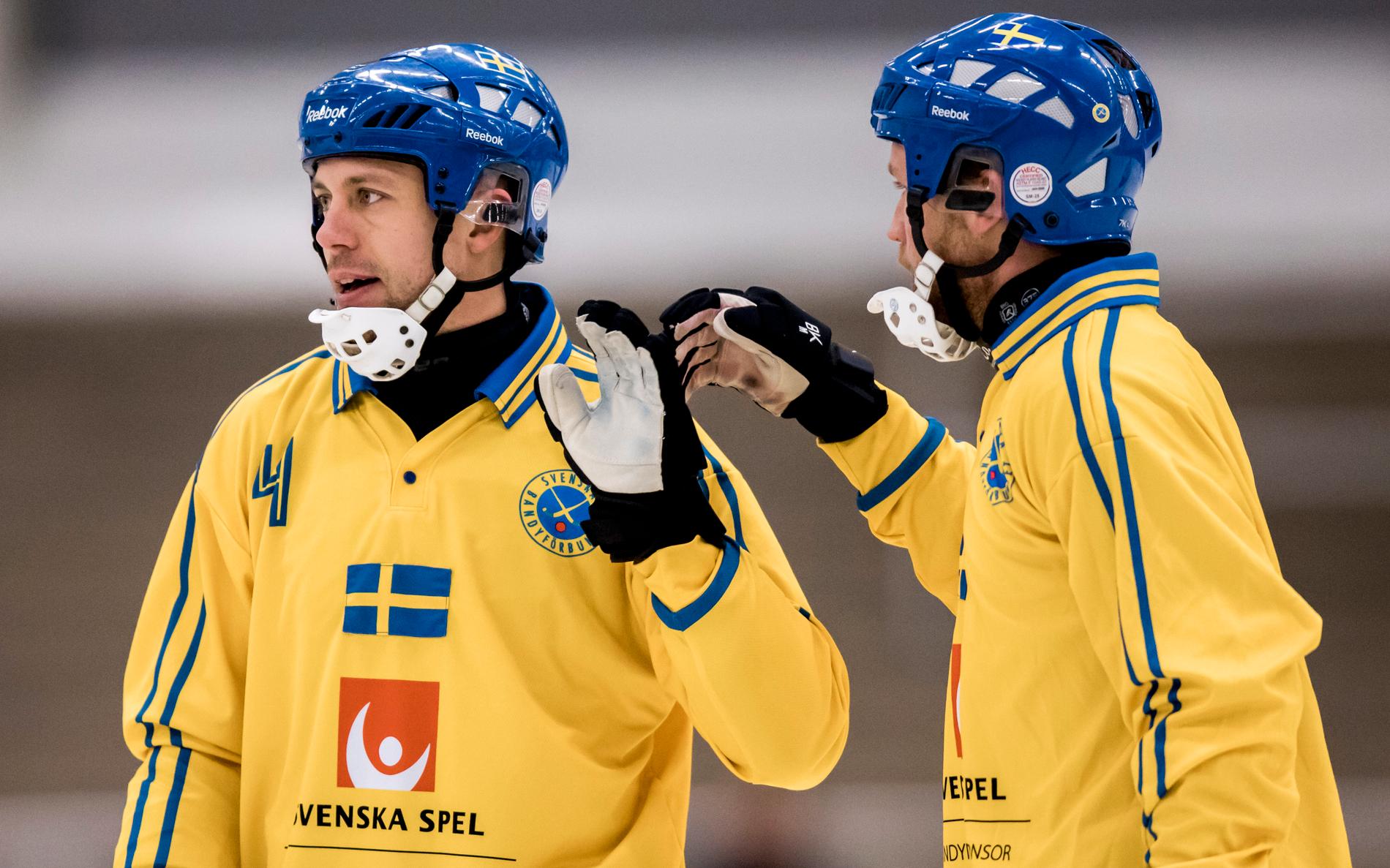 Per Hellmyrs och Johan Löfstedt jagar revansch efter tredjeplatsen i VM förra året.