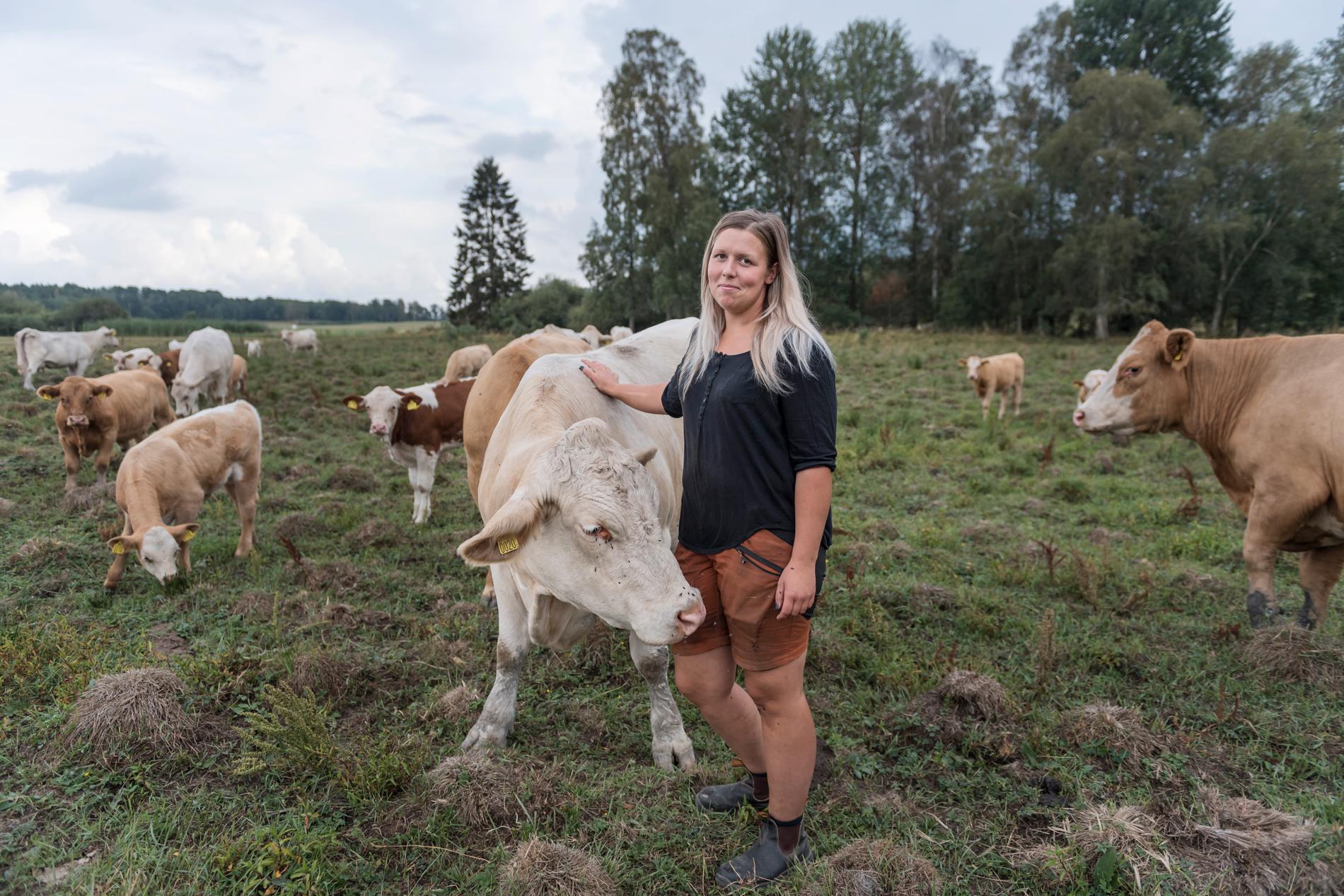 Klara Olsson har 80 köttkor och dessutom massor av kvigor och kalvar. Hon välkomnar krispaketet, men väntar fortfarande på de senaste årens jordbruksstöd som ännu inte har betalats ut.