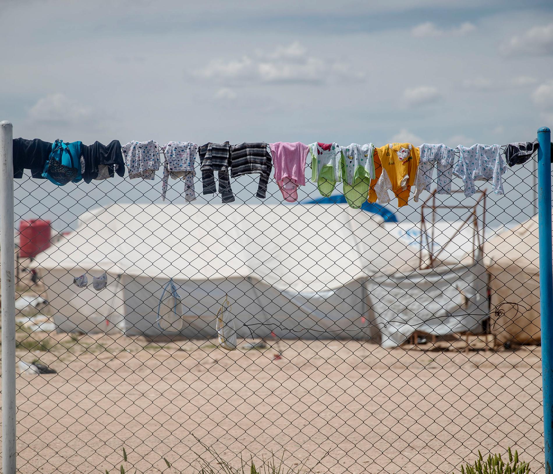 Flera kvinnor och barn med rötter i Sverige är fast i lägret i al-Hol.