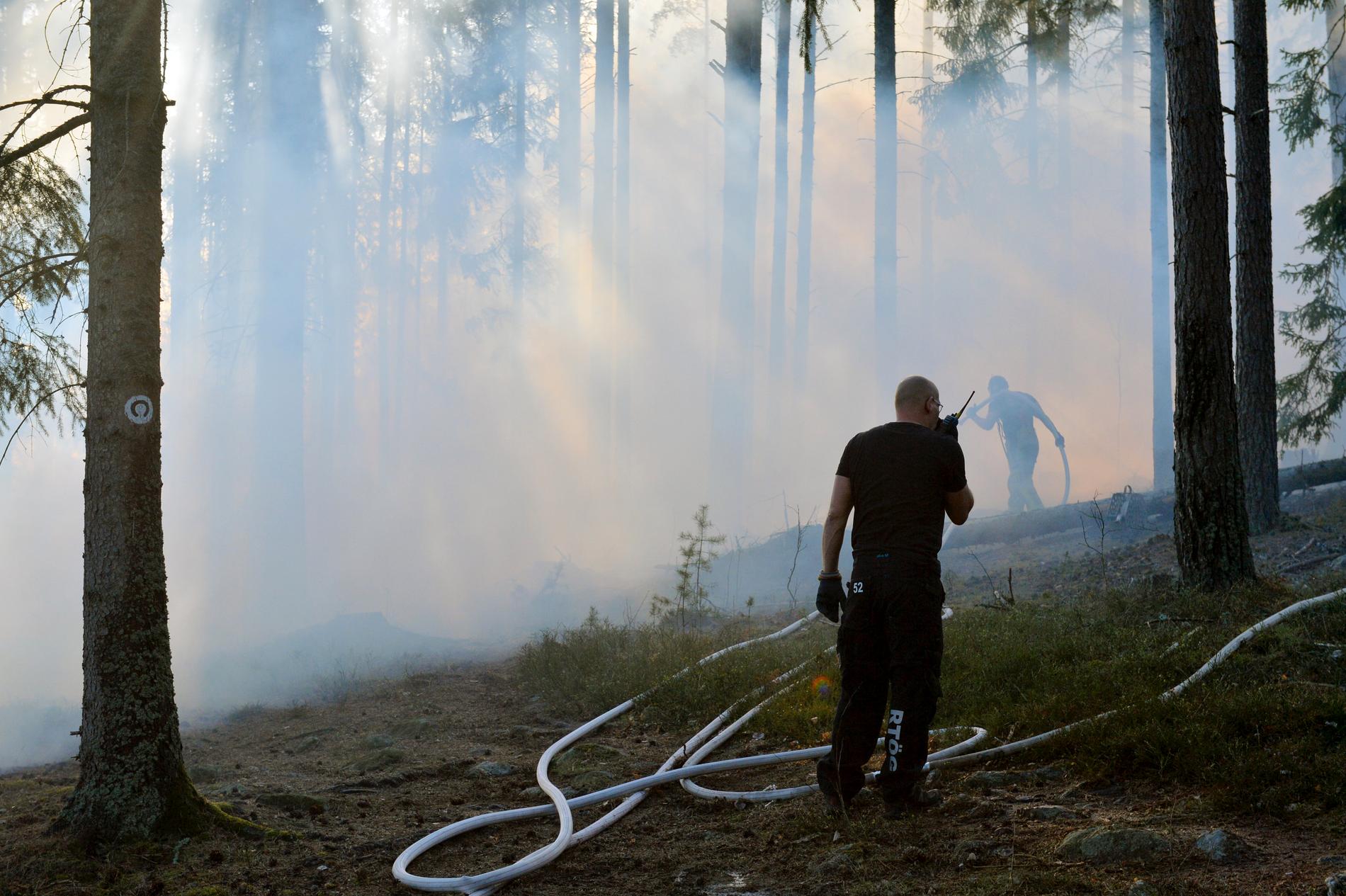 Skogsbranden i närheten av sjukhuset i Norrköping.