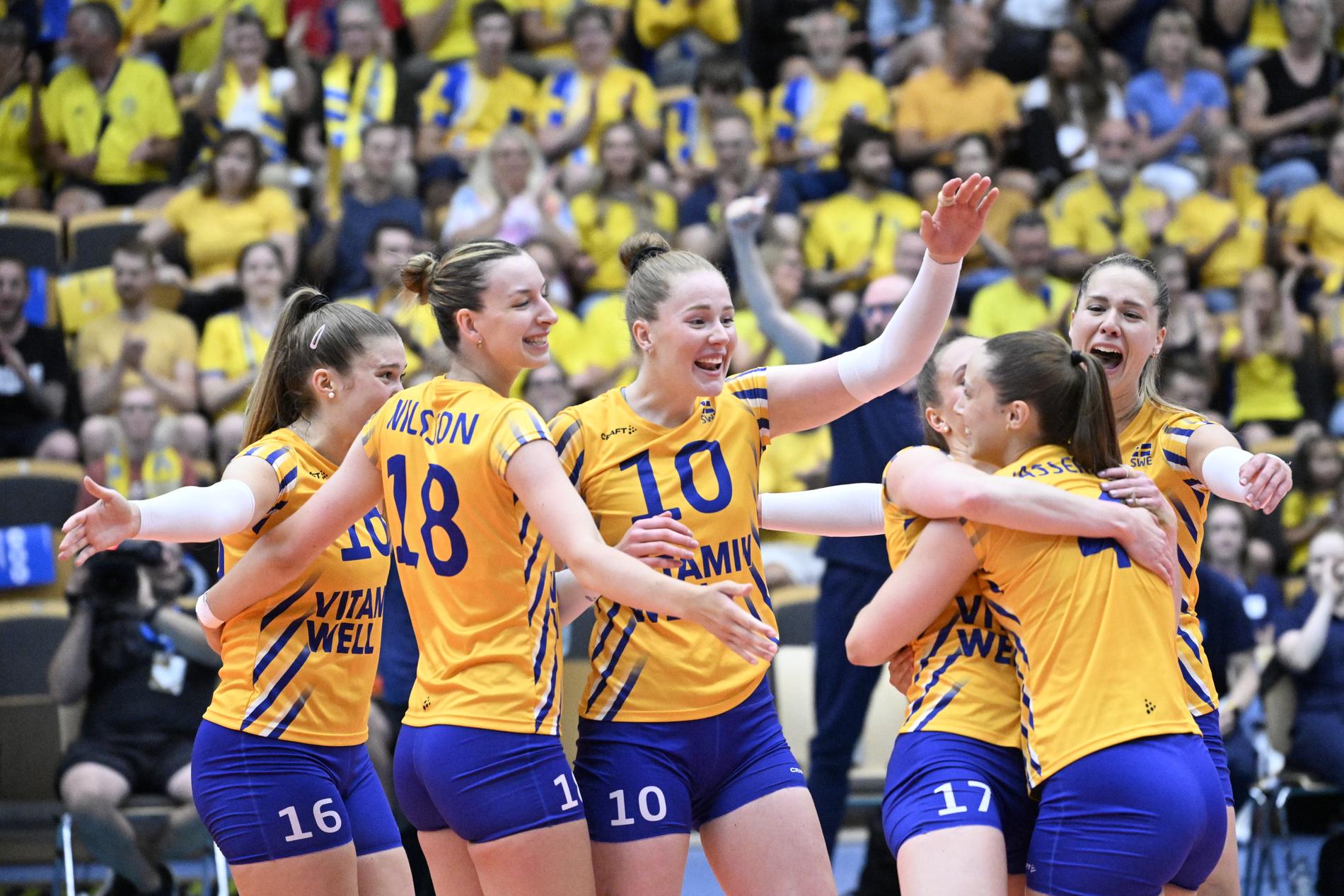 De svenska volleybolldamerna har gjort succé de senaste åren och spelar i veckan final i European Golden League, men landslaget kan inte räkna med något SOK-stöd i närtid. Arkivbild.