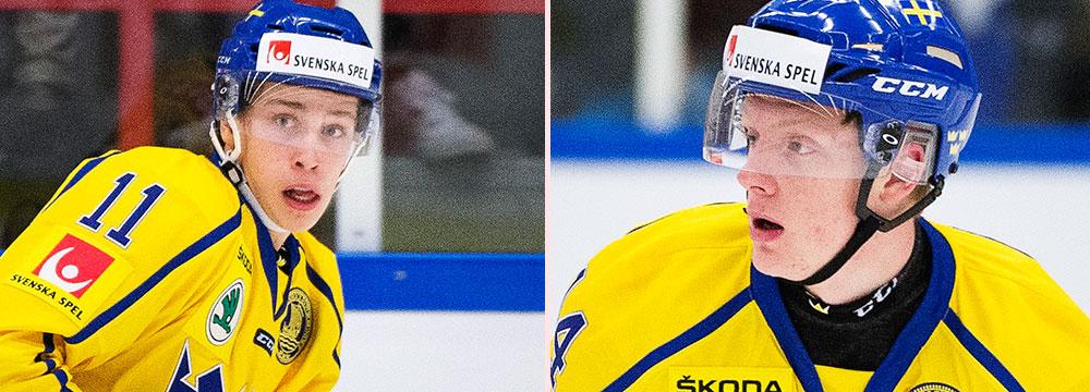 Lukas Vejdemo, och Fredrik Olofsson.