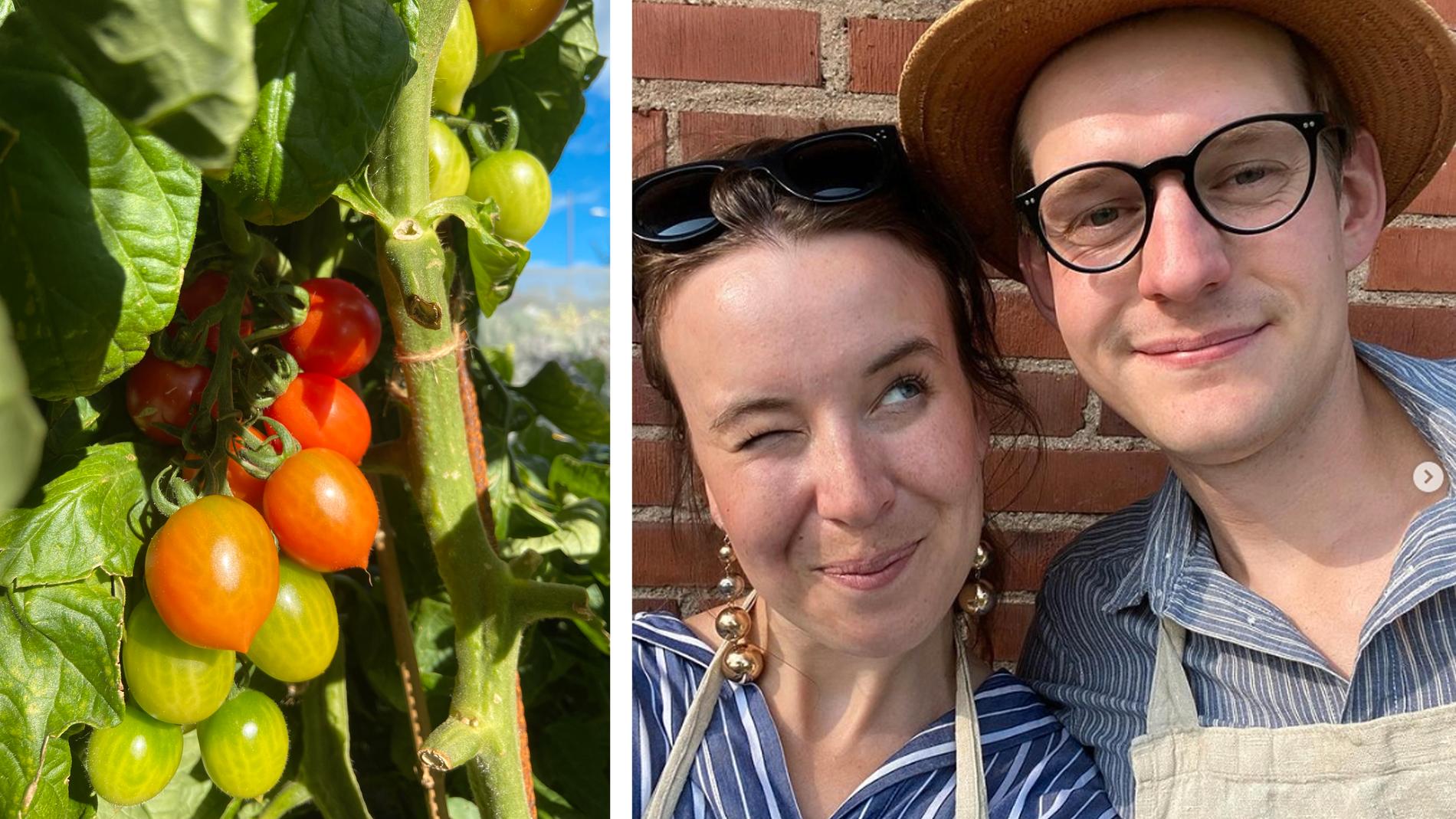 Kajsa och Karl-Axel Zander Persson njuter av sin köksträdgård som bland annat levererat tomater i massor och över 50 kilo gurka.