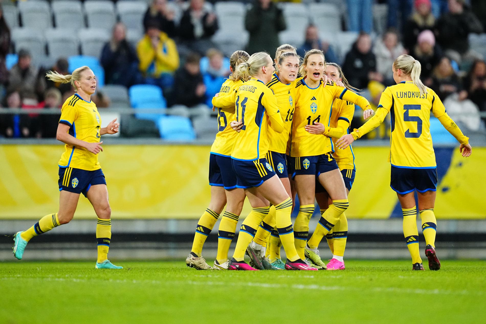 Sverige jublar efter ett mål i VM-genrepet mot Norge på Gamla Ullevi.