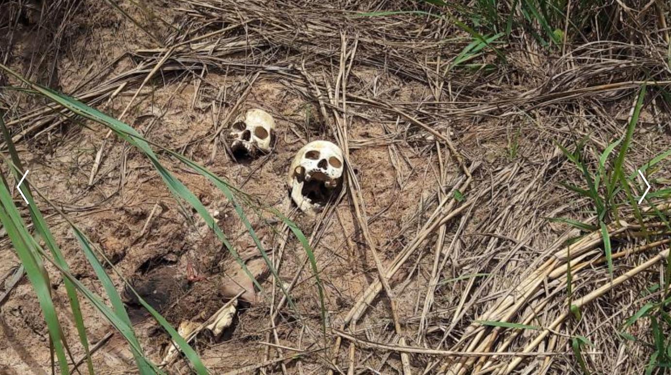 Arkivbild: Skelett från en massgrav i Kongo