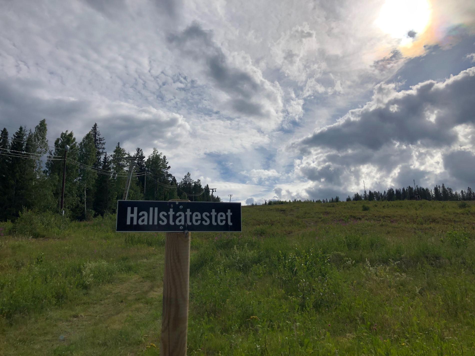 Hallstabacken i Sollefteå.