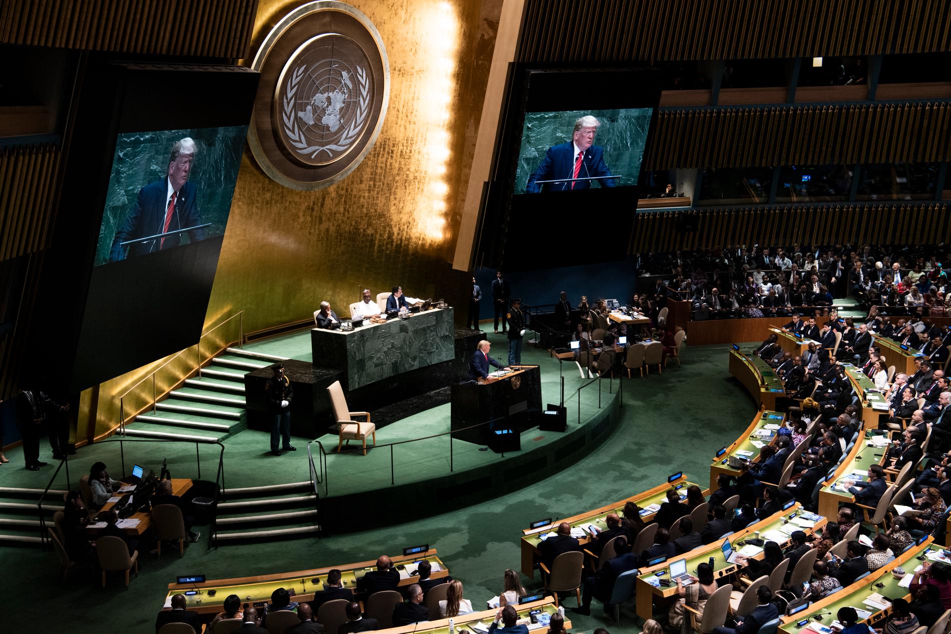 FN:s generalförsamling, fotograferad 2019 när USA:s dåvarande president Donald Trump höll sitt tal.