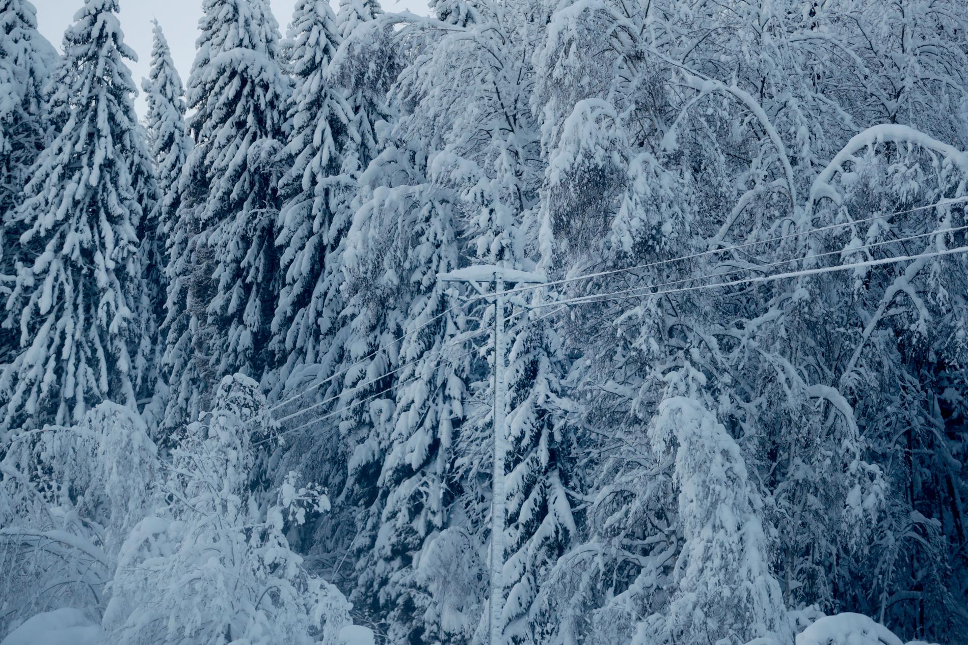 Det kraftiga snöovädret som dragit fram över landets norra delar har mattats av – men det snöar fortfarande i Västerbotten. Arkivbild.
